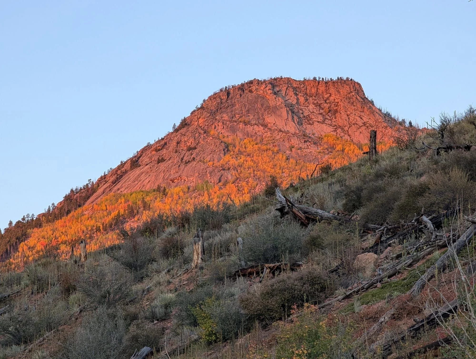 First light in the Lost Creek Wilderness, Colorado.