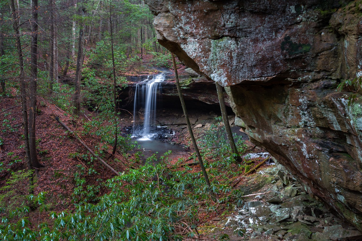 Dog Branch School Falls