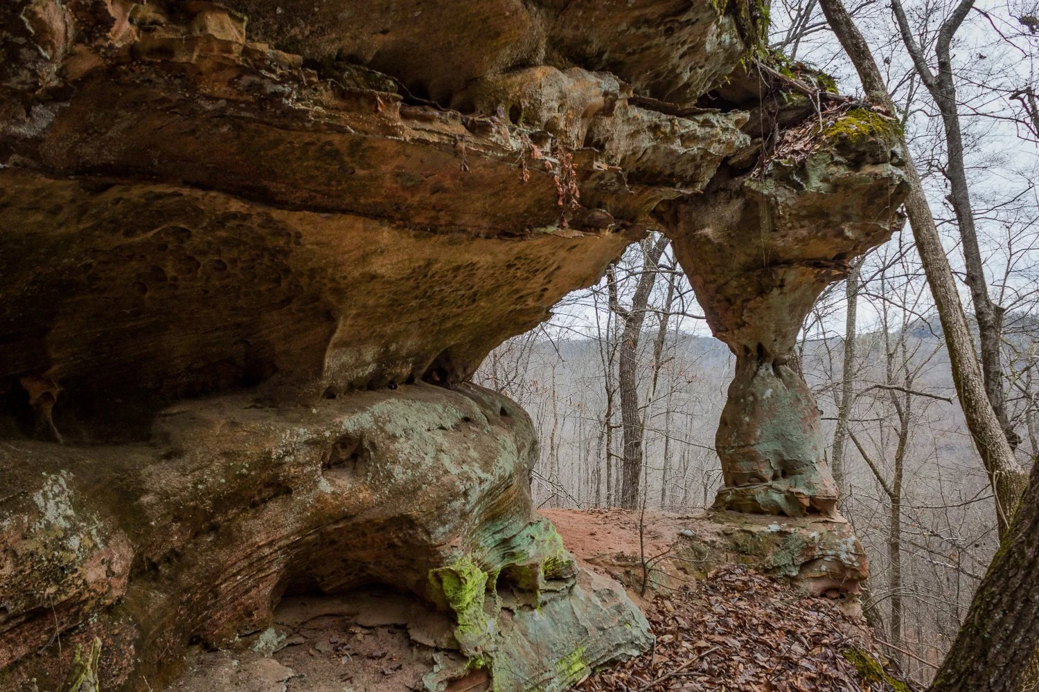 Samson's Pillar Arch - Daniel Boone National Forest, Kentucky