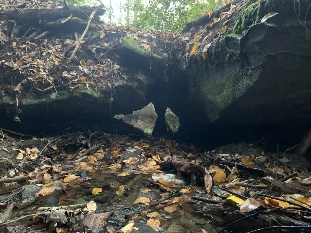 Bridge of Sighs - Daniel Boone National Forest, Kentucky.