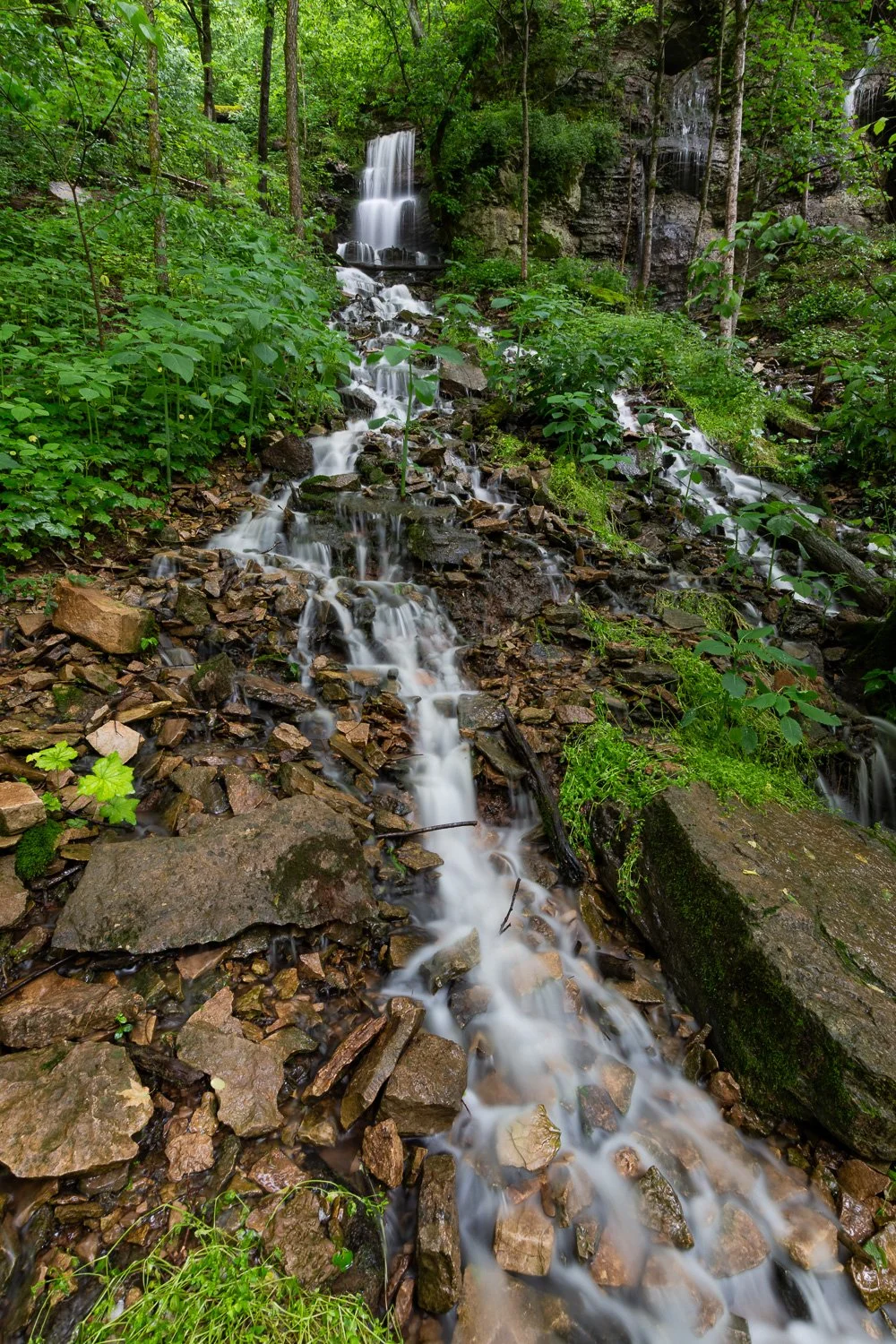 Spring in the Kentucky Palisades