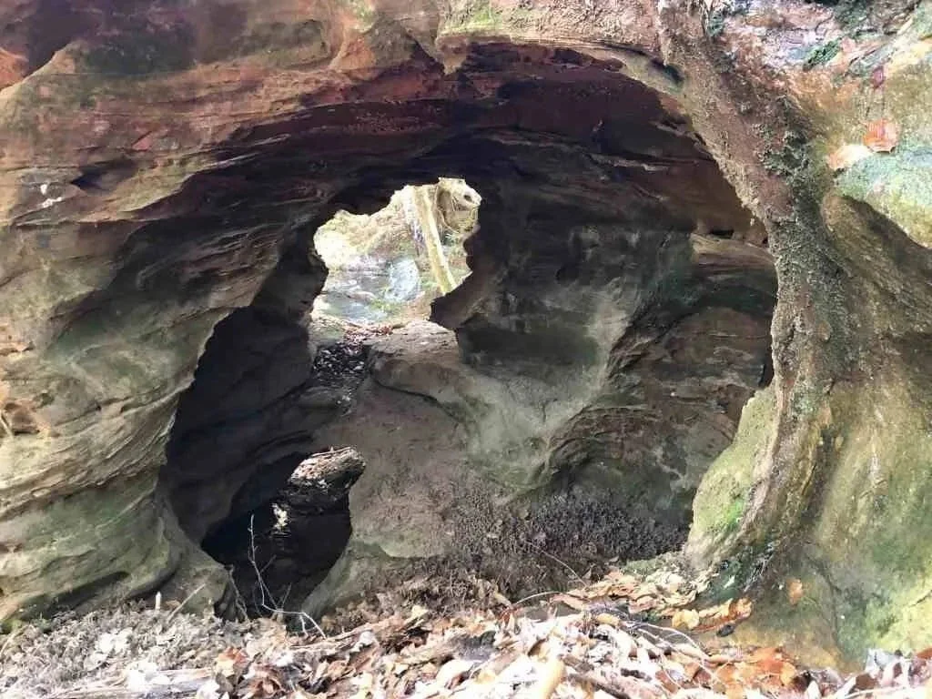 iPhone shot of Hobbit Hole Arch, Mammoth Cave National Park, Kentucky.