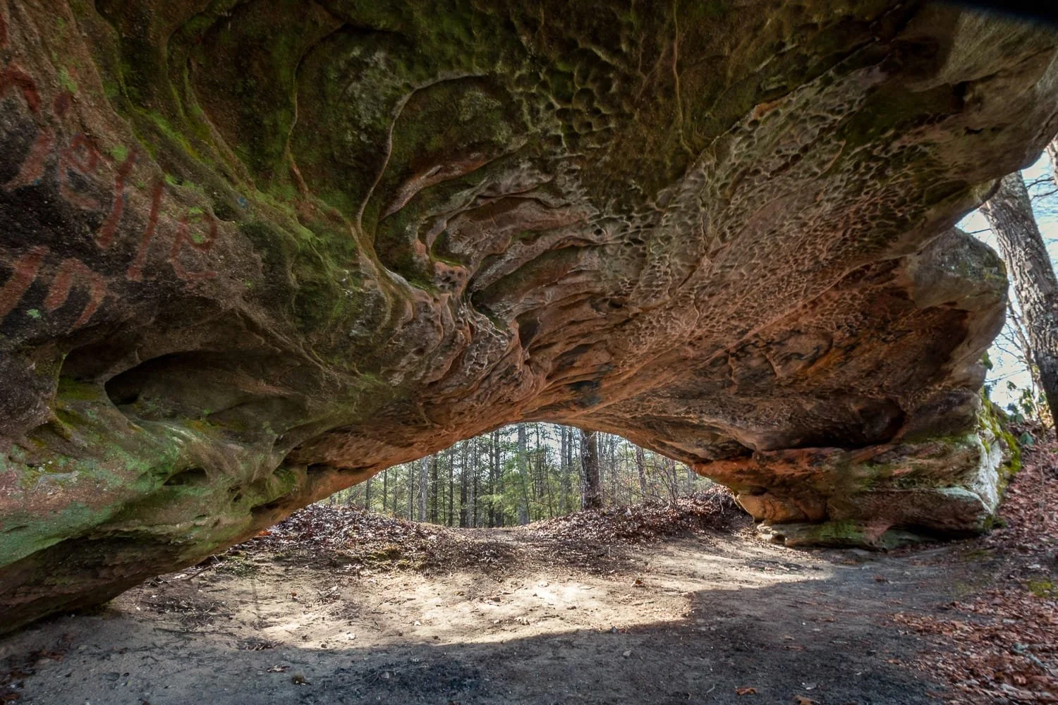 The westernmost portion of the Daylight Twin Arches - Daniel Boone National Forest, Kentucky.