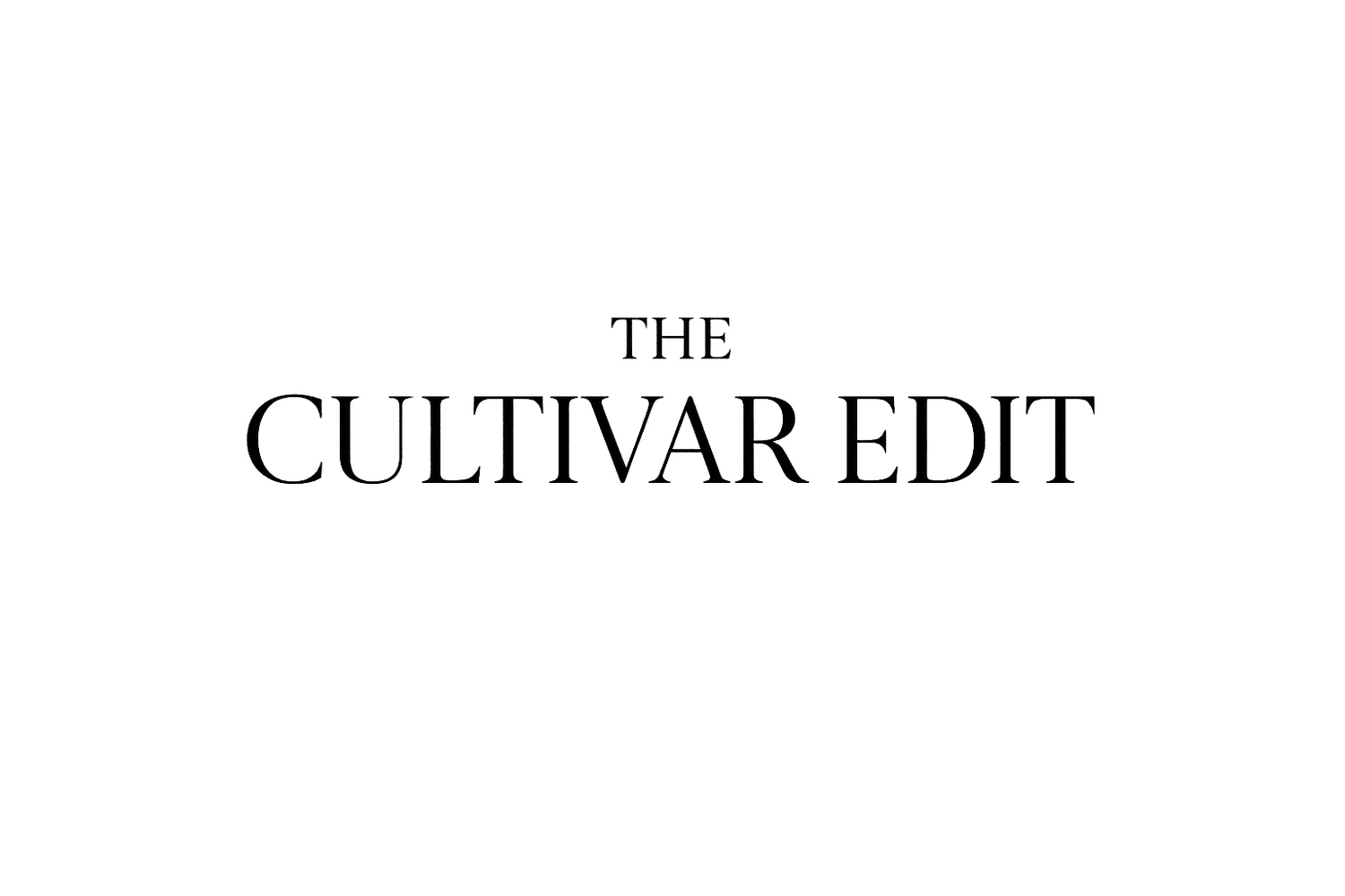 Your Site Title