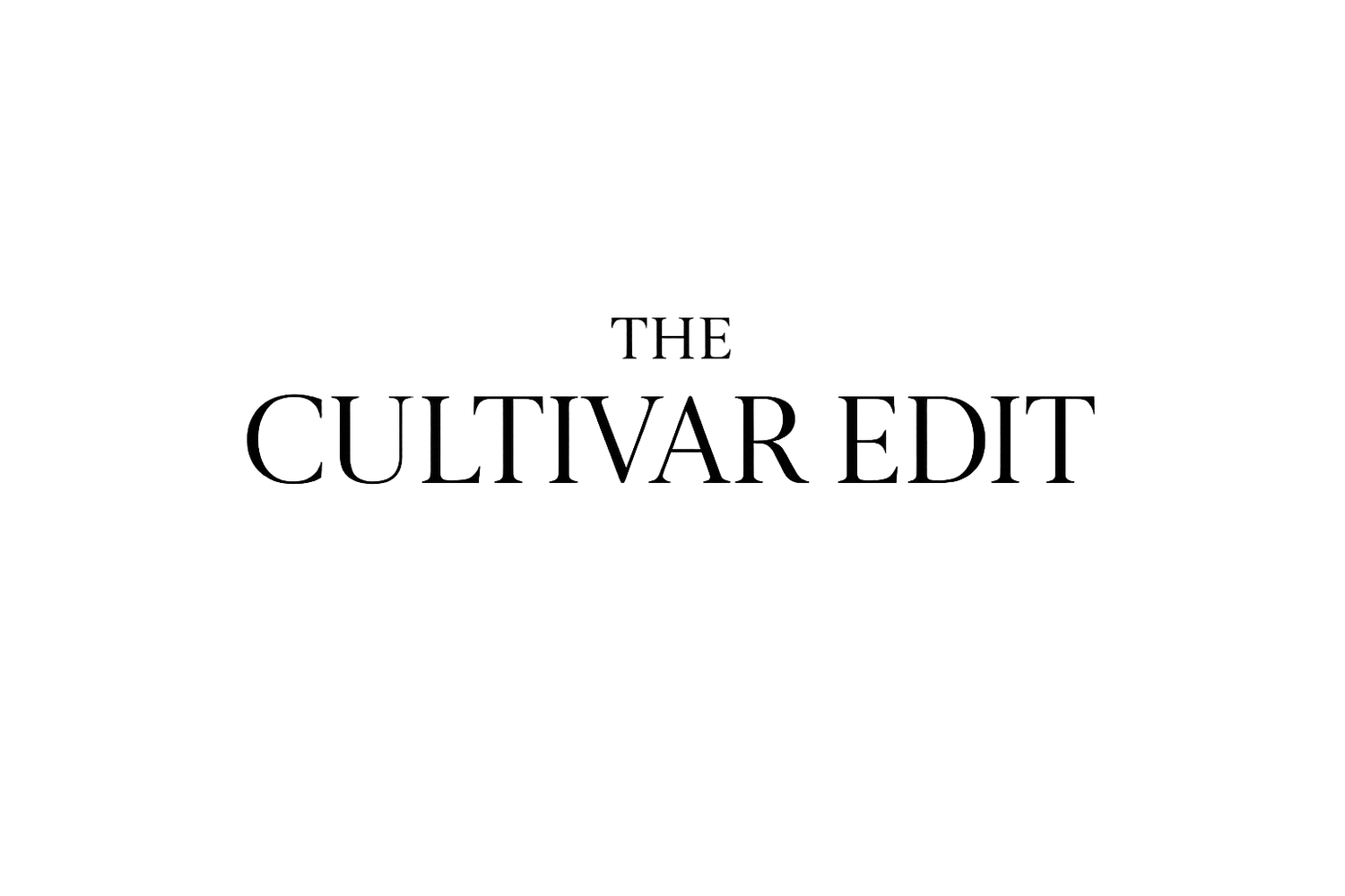 Your Site Title