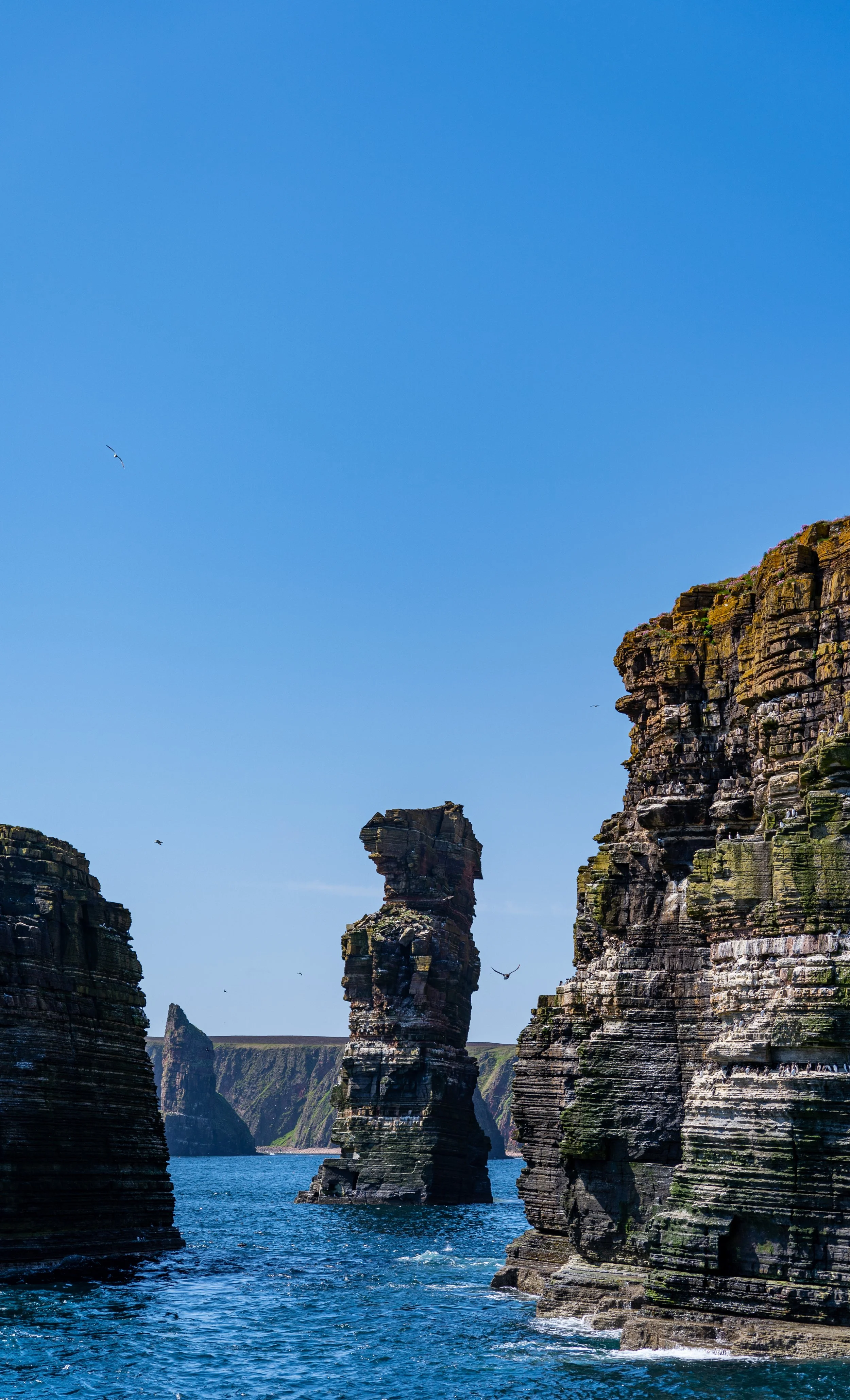 _DSC9143.jpg