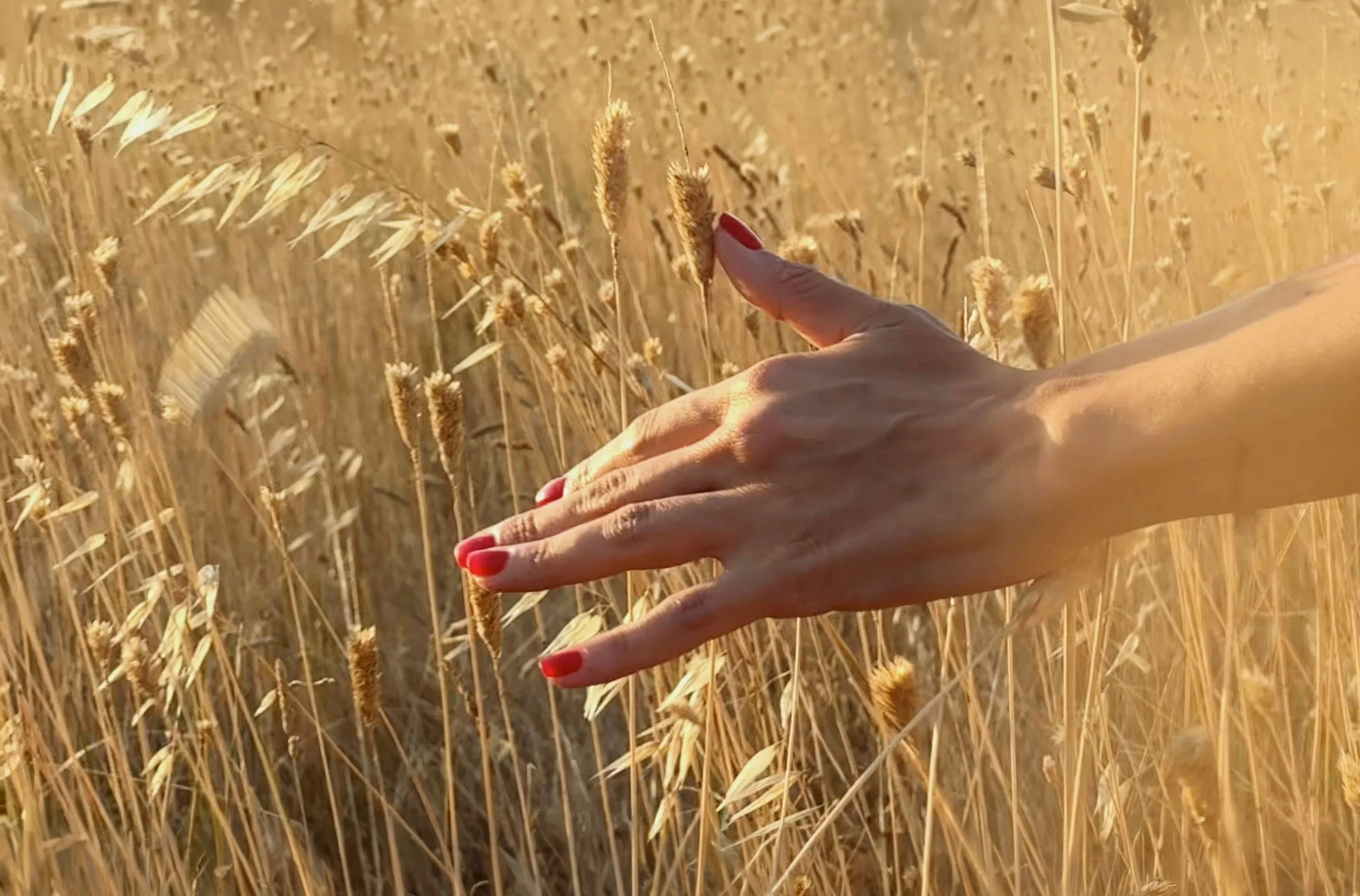 her-hand2.jpg