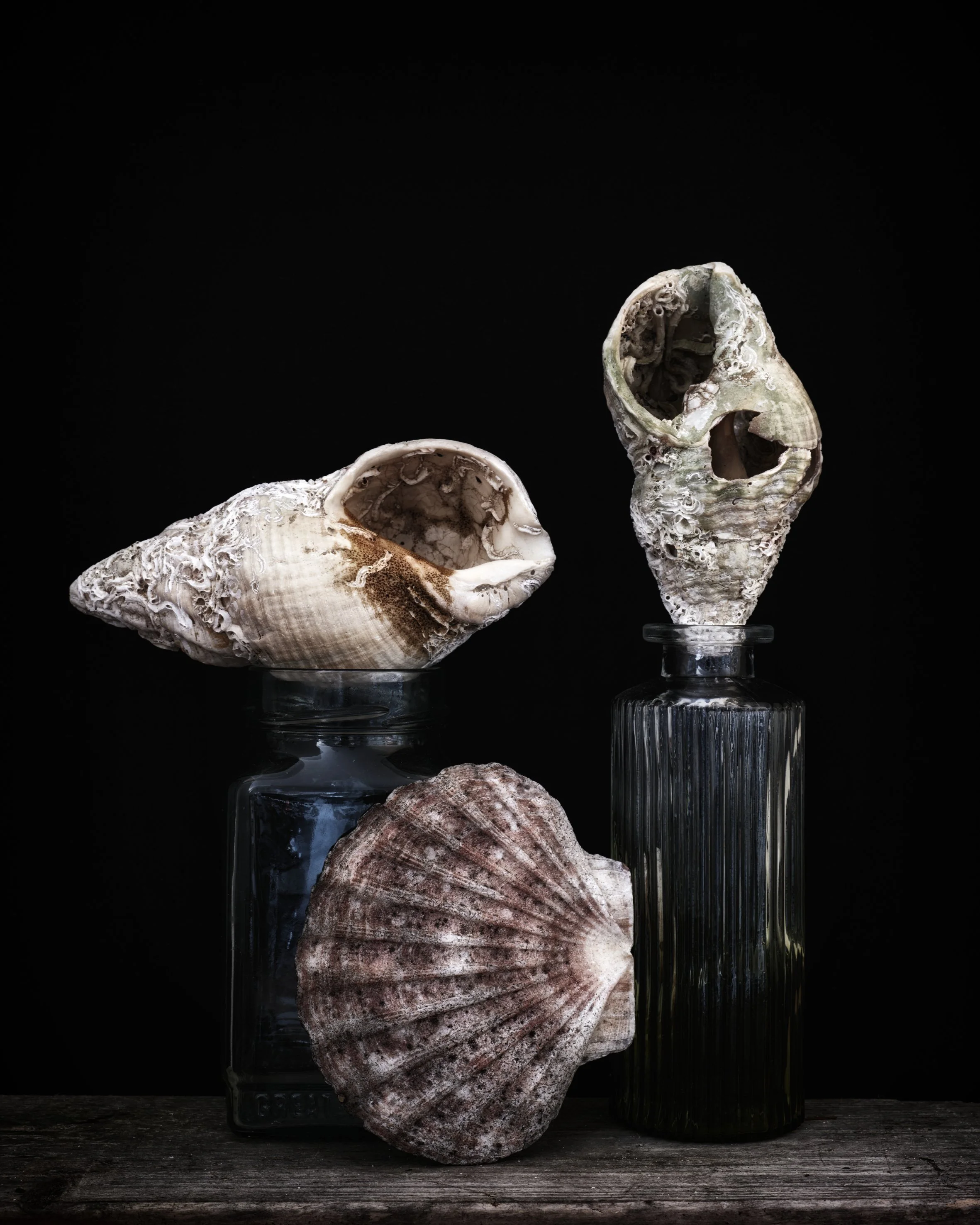 Three Shells 2 Bottles