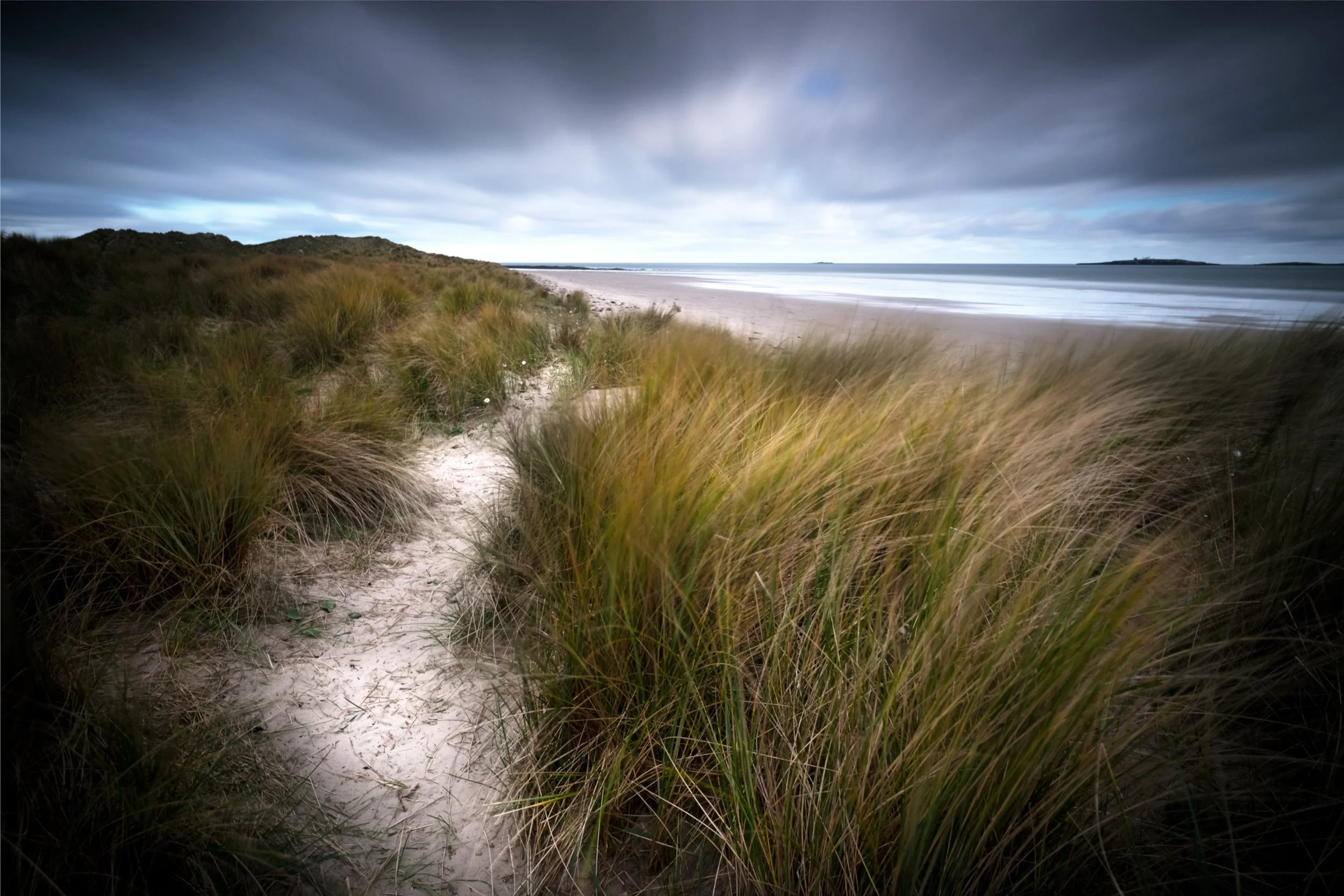 A pathway through marram grasses leading to a sandy beach with calm waters, and cloudy sky.