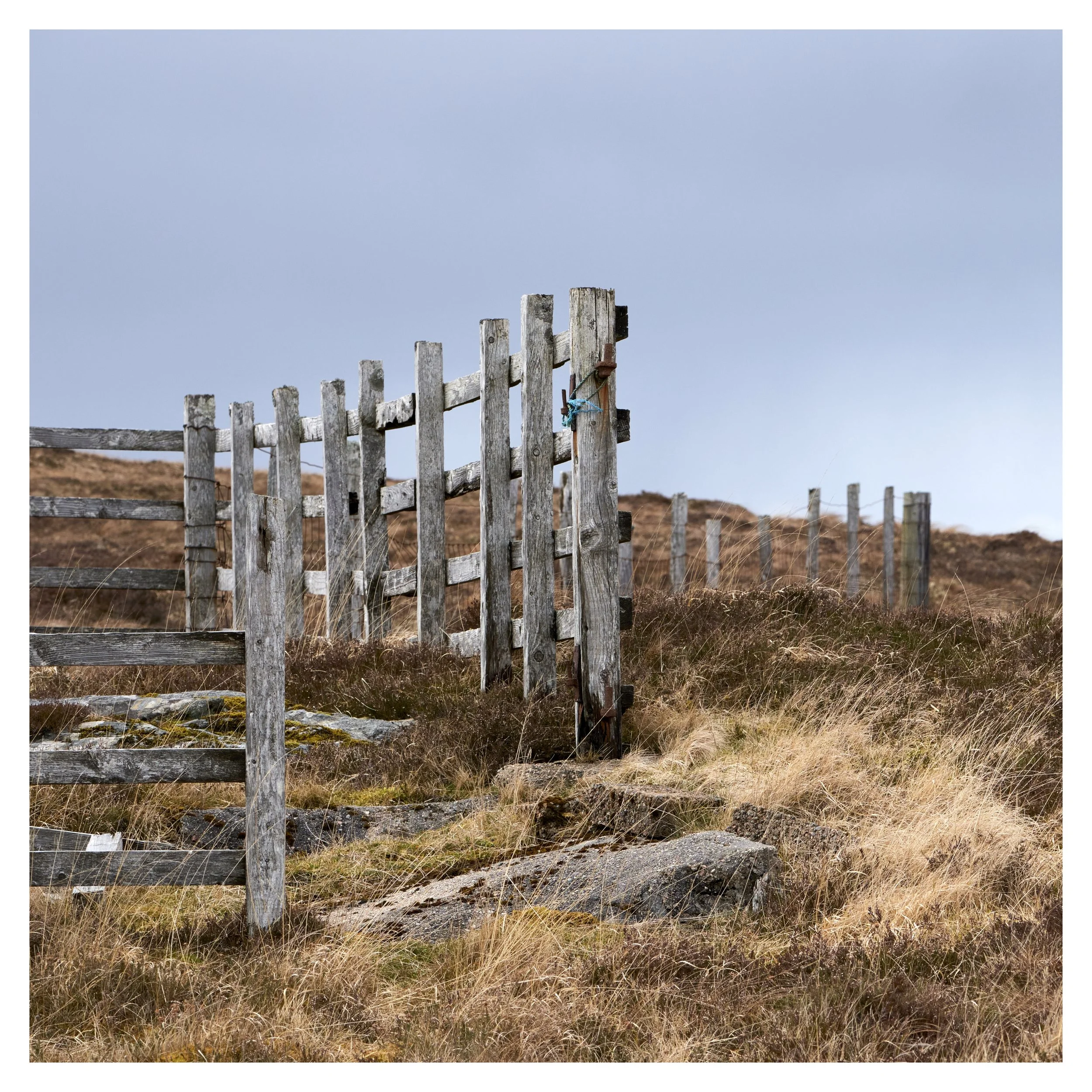 Fence on the Moor