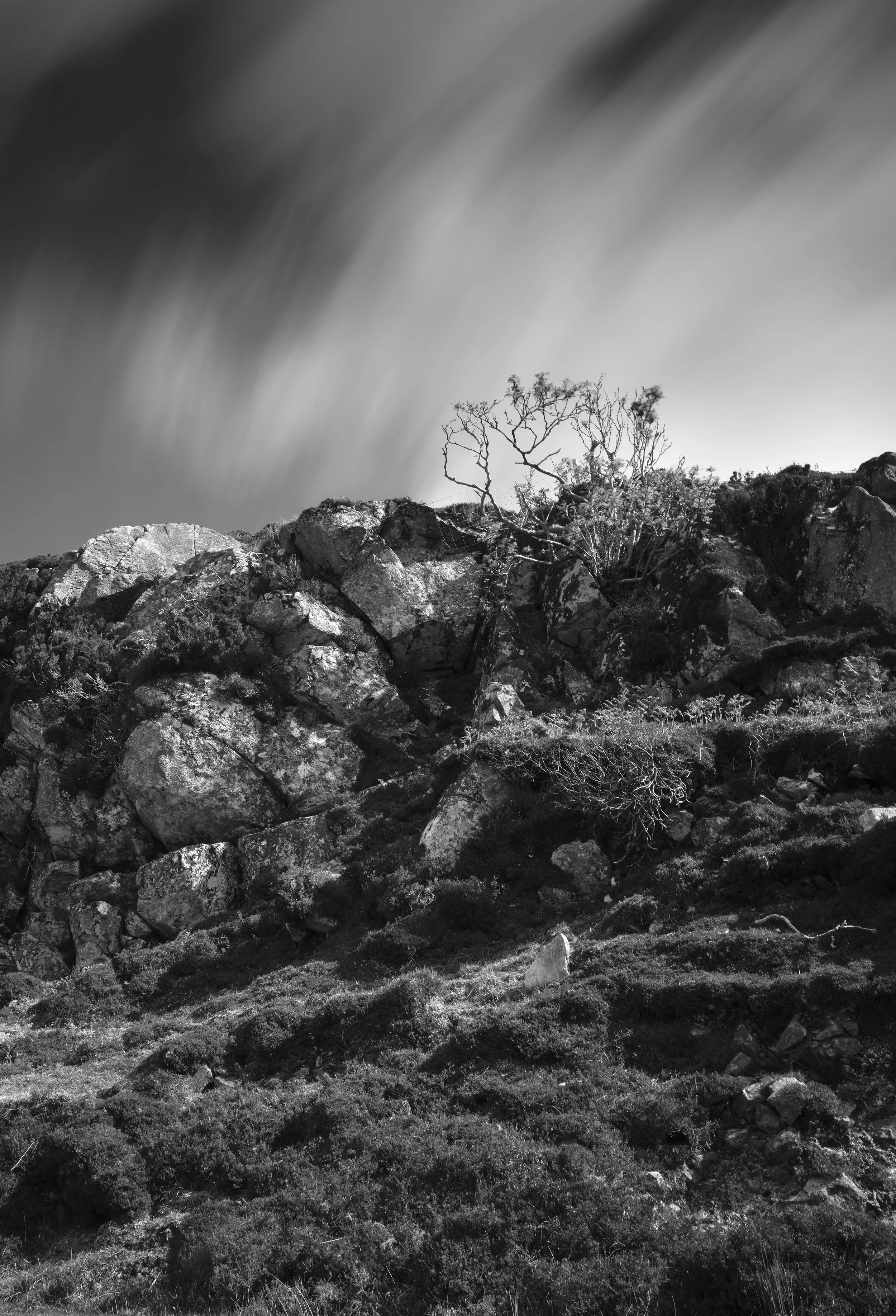 Black and white landscape photograph of rocky hillside with sparse trees and bushes, and a blurred sky in the background.