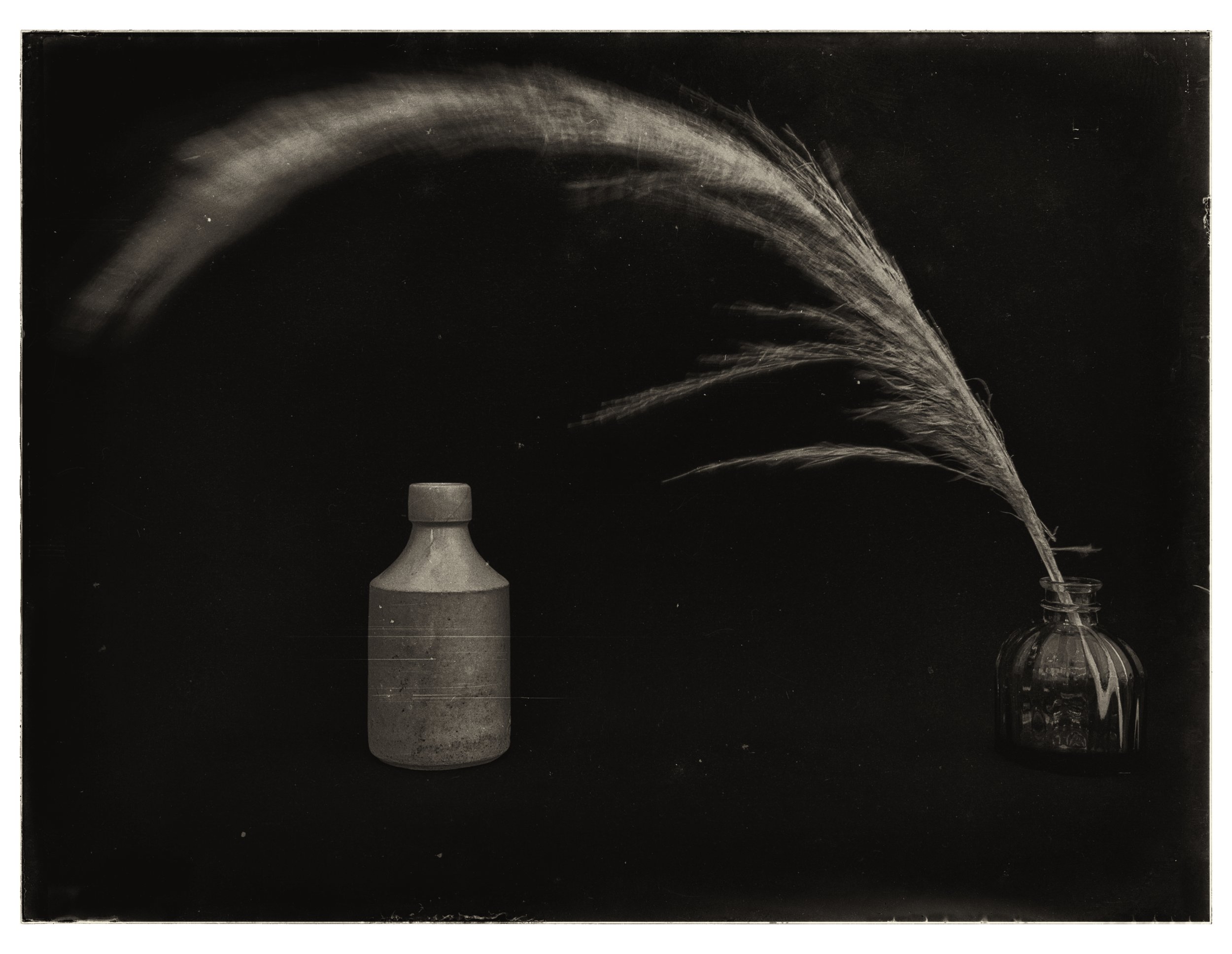 Still life - Bottles & Grass
