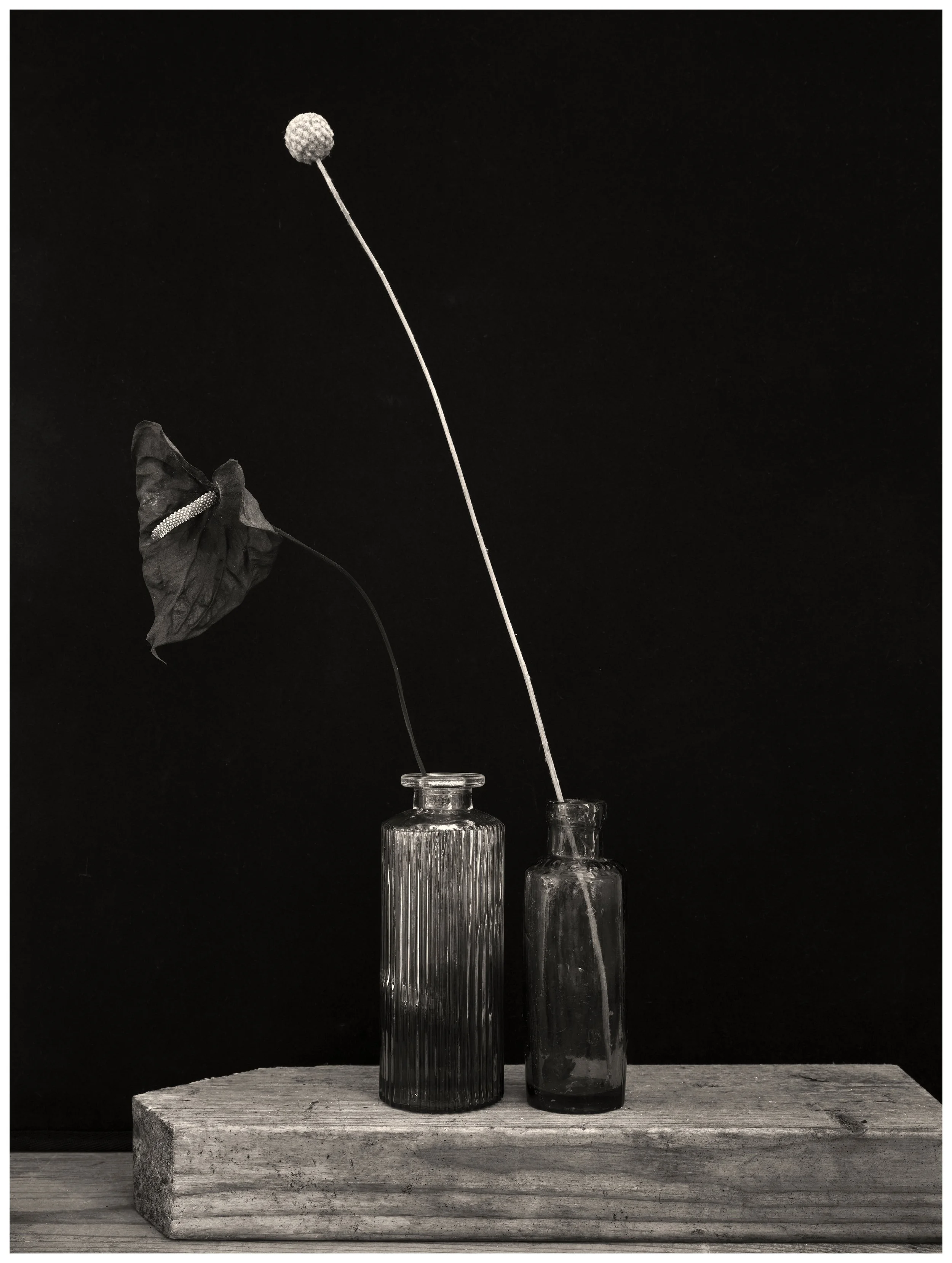Stems & Bottles