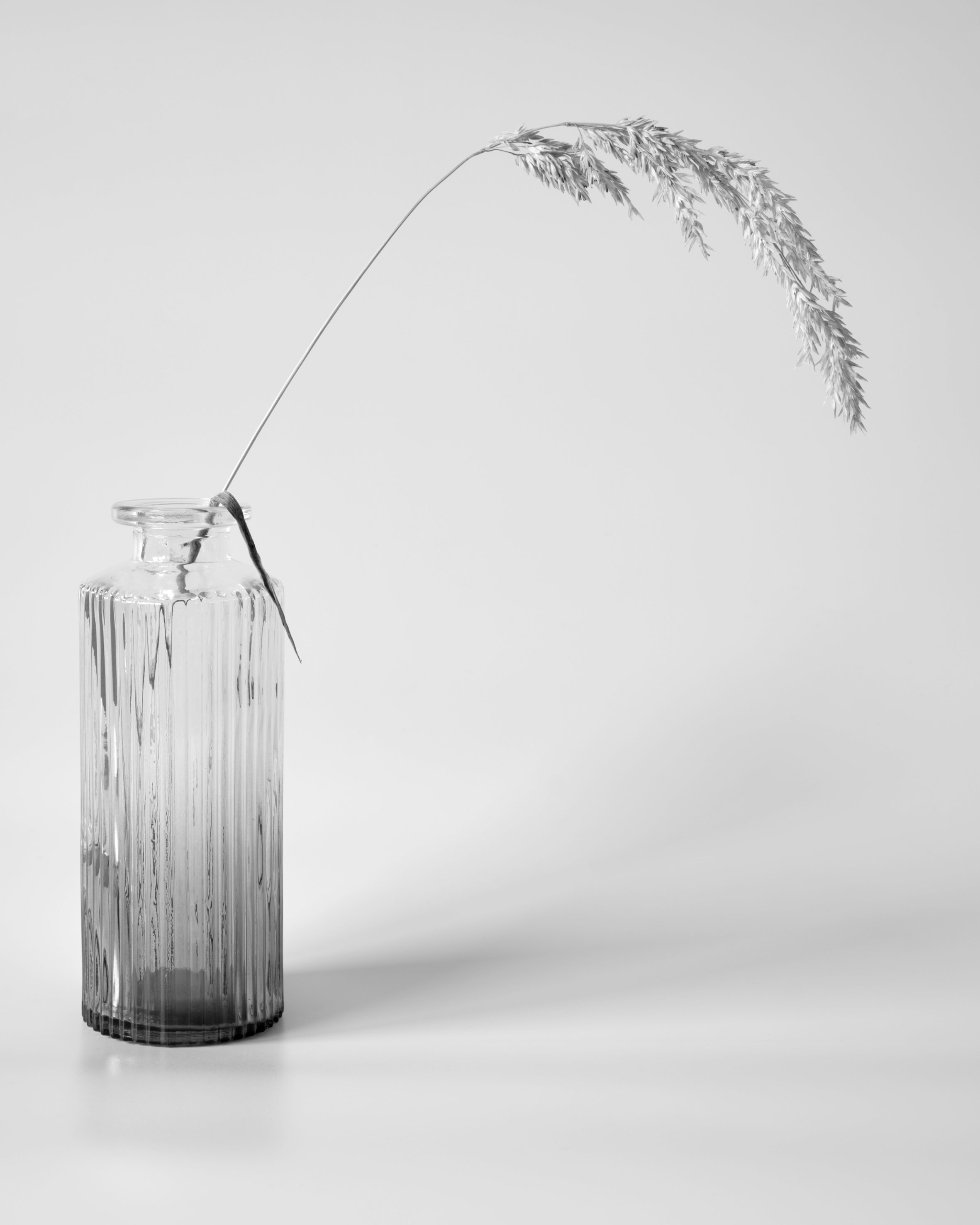 Bottle with Grass Head