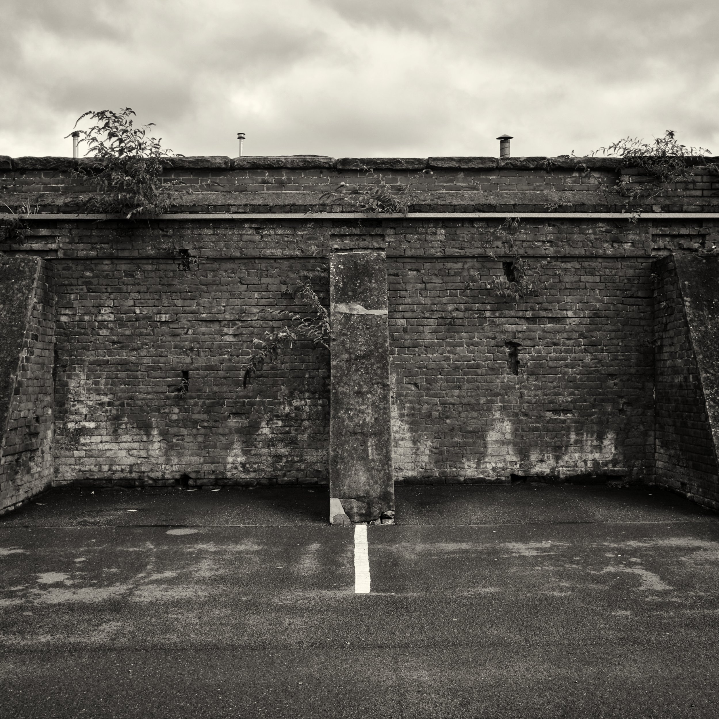 Black and white photo of a brick wall with plants growing over the top and a carpark in front, with a central white line on the asphalt.