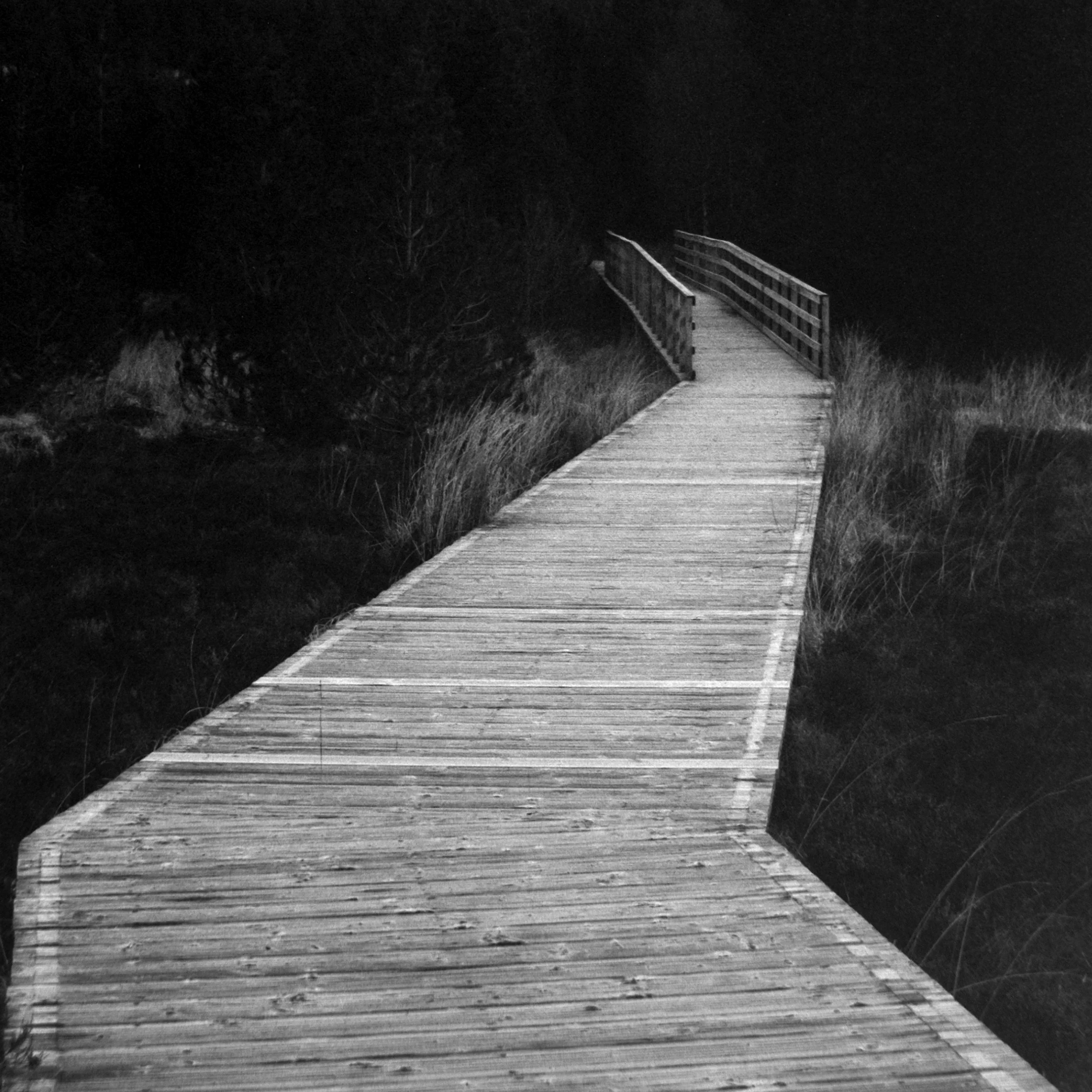 Dark view of a wooden bridge with railings, leading into darkness, surrounded by grass and trees.