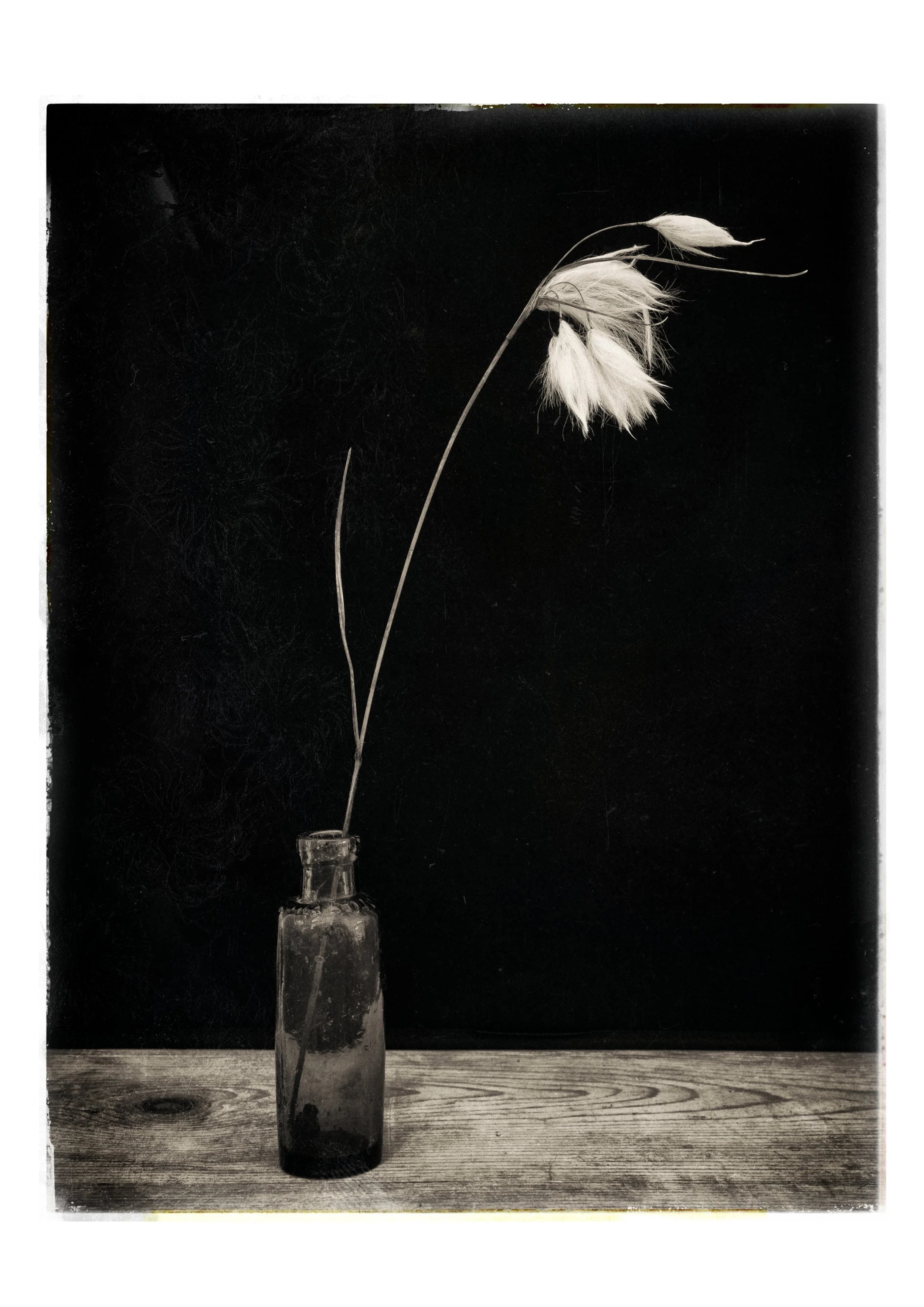 Timeless Elegance: Limited Edition Monochrome A3 Print