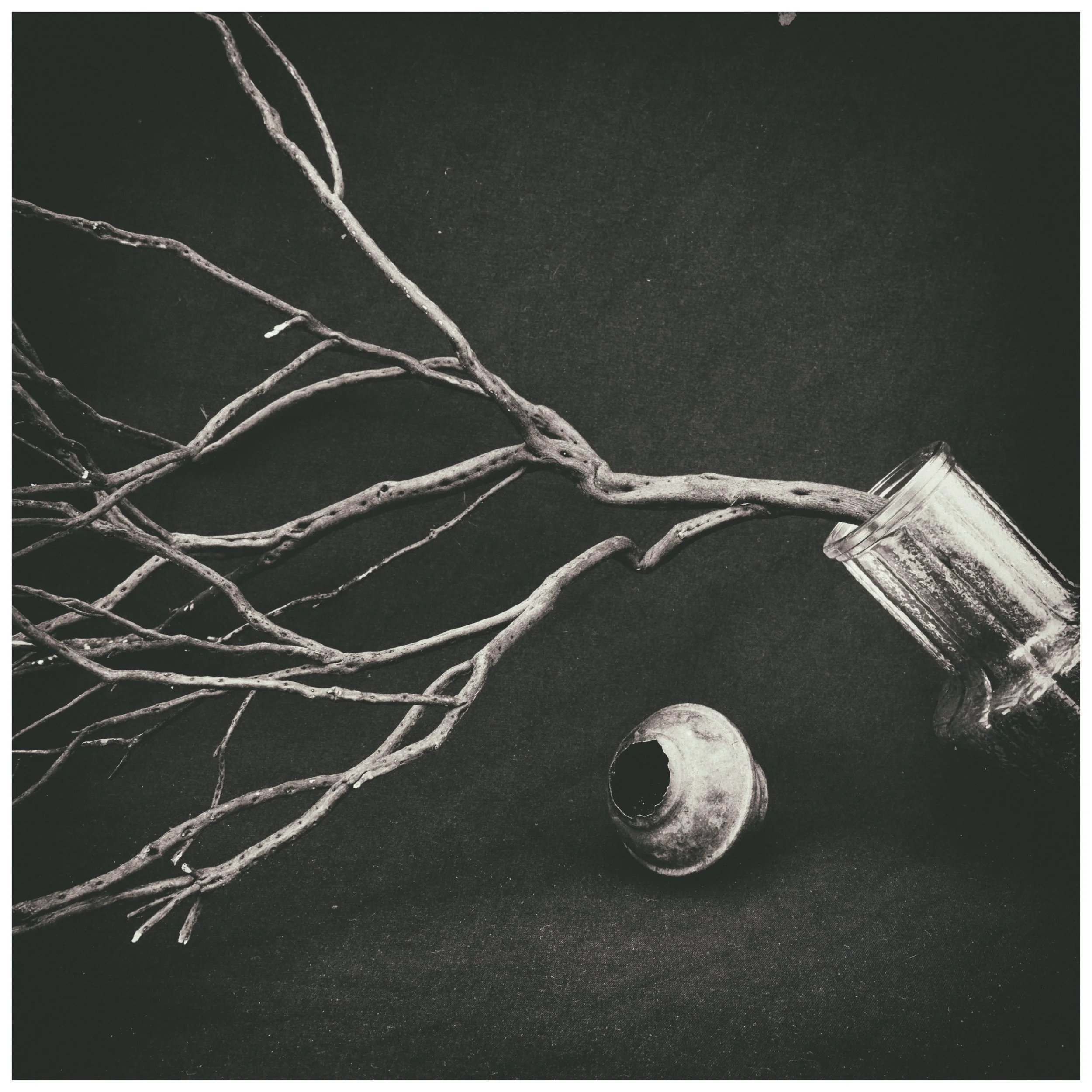 Small Barren Tree Branch with Tilted Bottle.