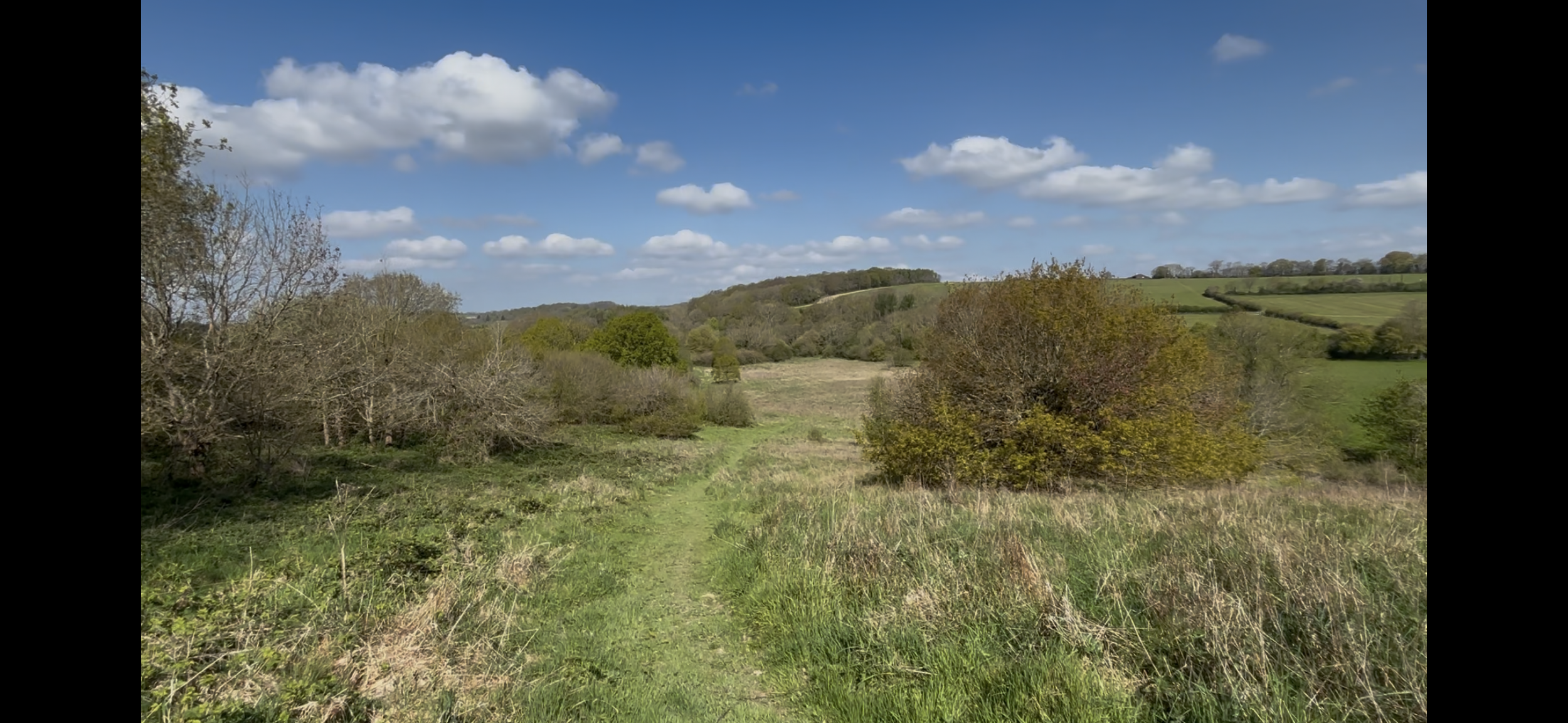 A scenic countryside landscape with a grassy trail cutting through a meadow, surrounded by trees and rolling hills under a bright blue sky with fluffy white clouds.