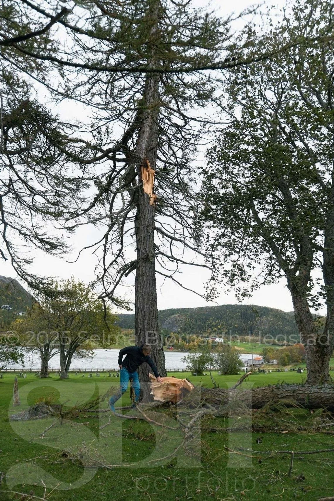 08_SelmaBHegstad_Snart-er-det-varsol-og-sang-i-skogen.jpg