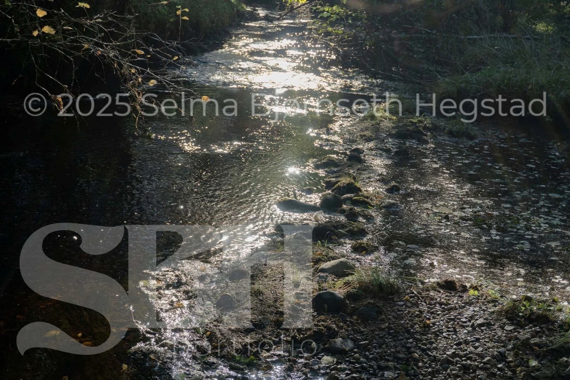 47_SelmaBHegstad_Snart-er-det-varsol-og-sang-i-skogen.jpg