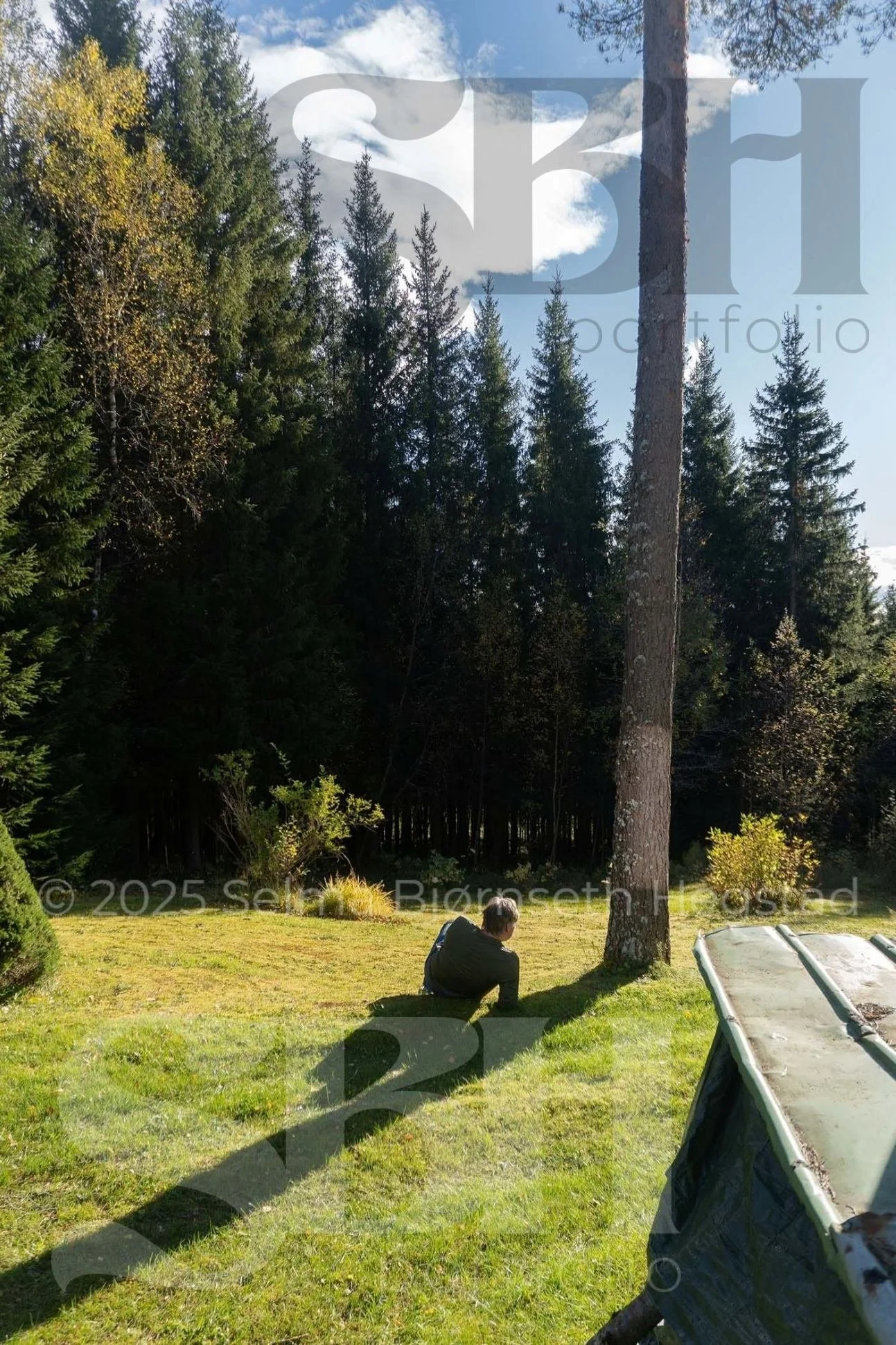 27_SelmaBHegstad_Snart-er-det-varsol-og-sang-i-skogen.jpg