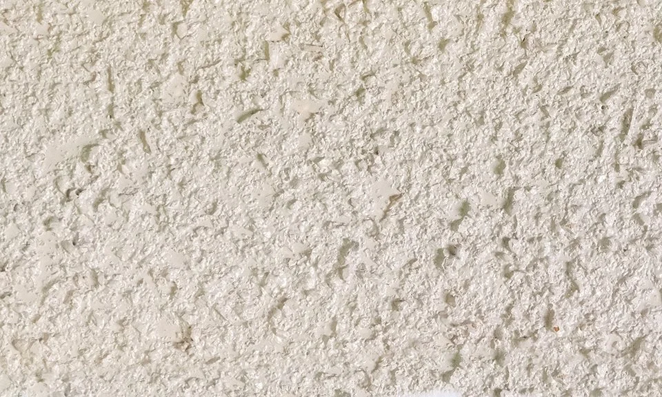 Suberite grigio chiaro