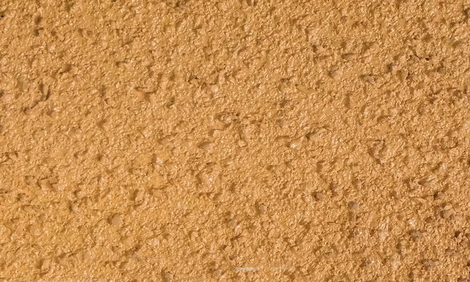 Suberite arancio chiaro