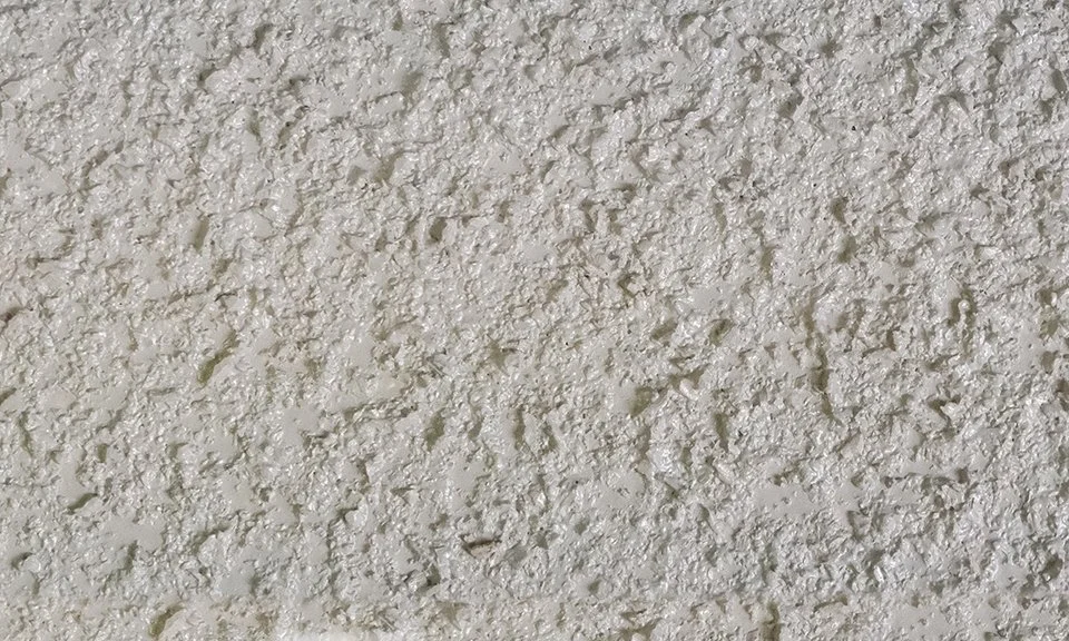 Suberite grigio tenue