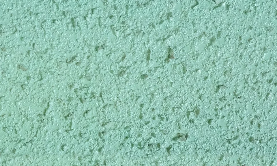 Suberite verde chiaro