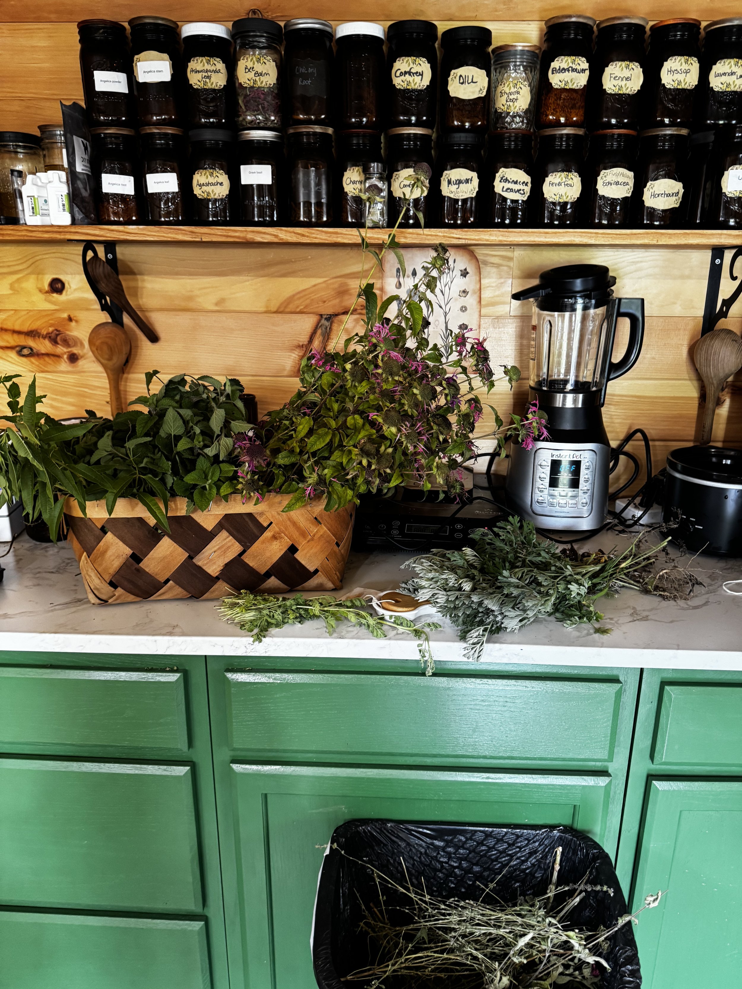 Kitchen countertop with potted herbs, a blender, and jars of dried herbs and spices on wooden shelves.
