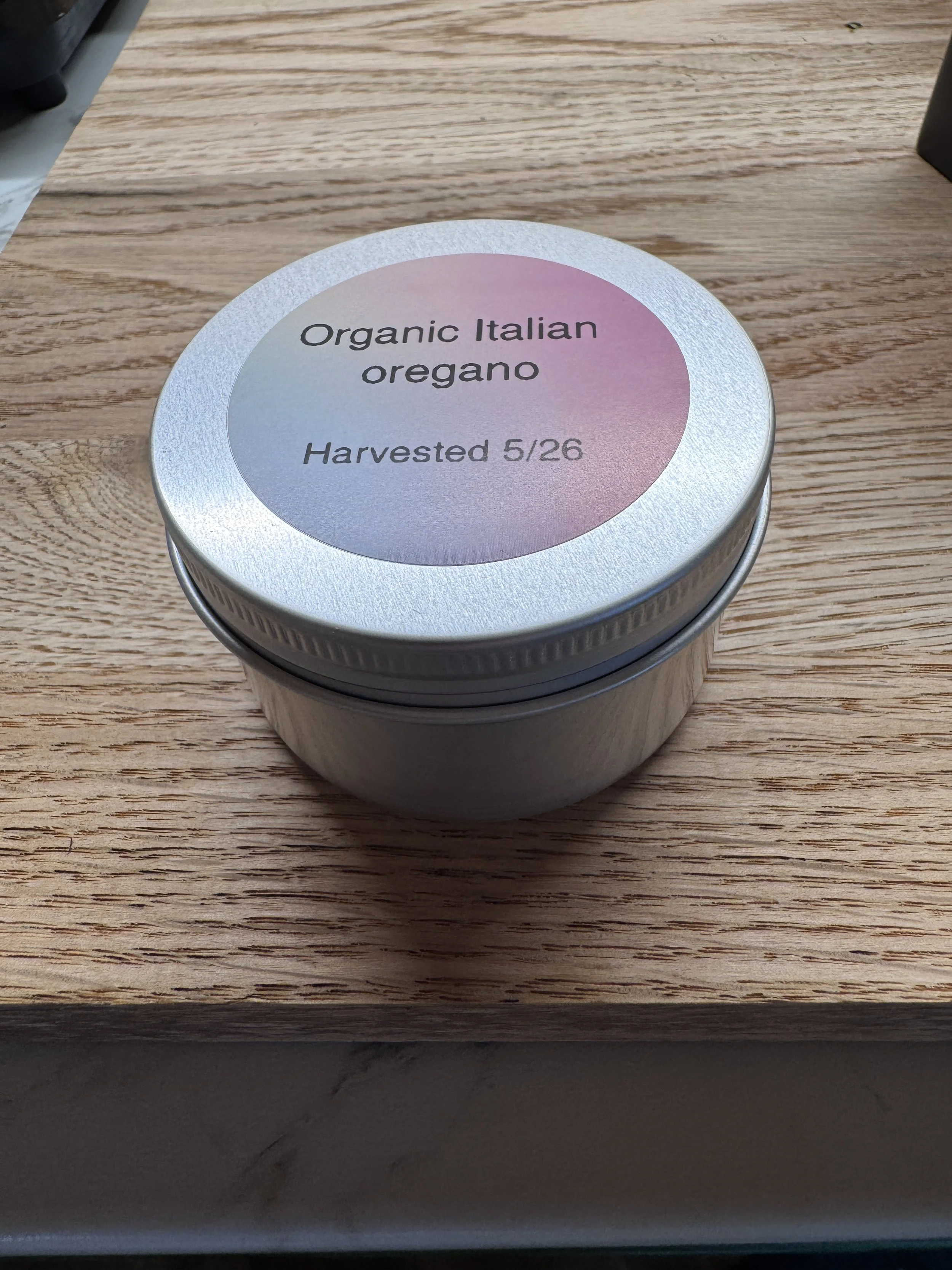 Italian Oregano