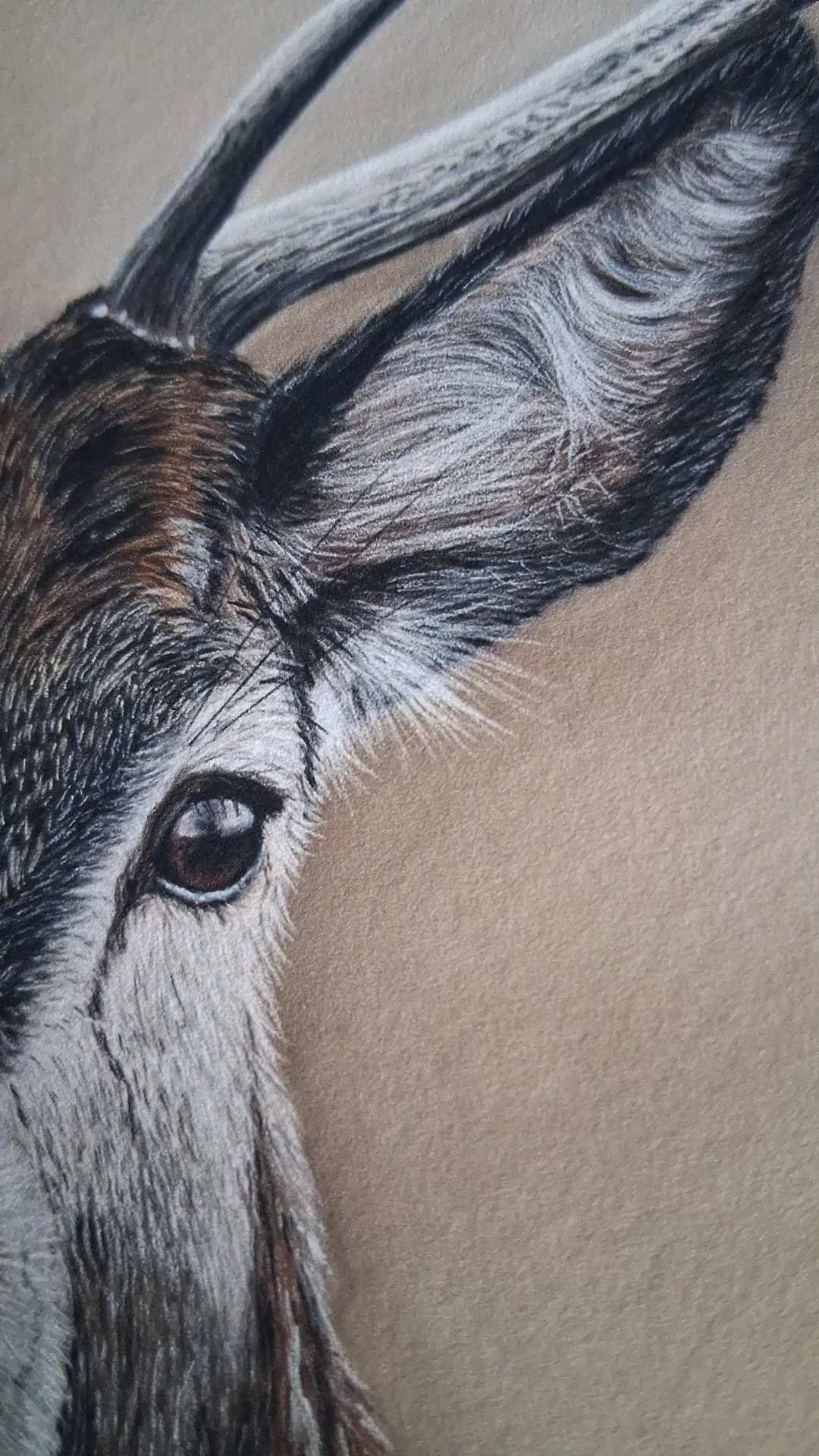 Stag wildlife portrait fine art Giclee print texture original drawn in pastel pencils by Turn 2 Art Wendy Turner