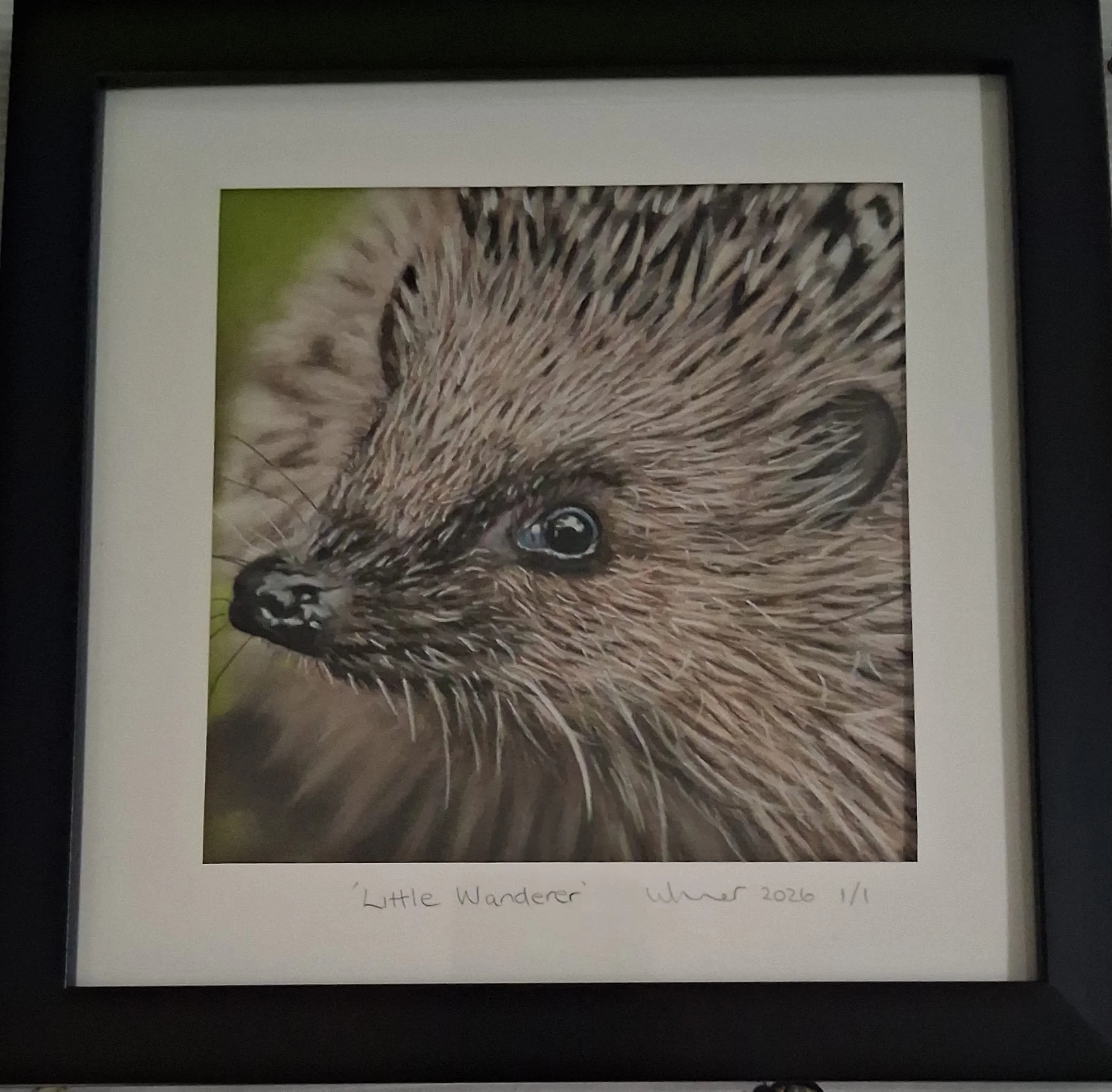 Hedgehog wildlife portrait drawn in pastel pencils by Turn 2 Art Wendy Turner