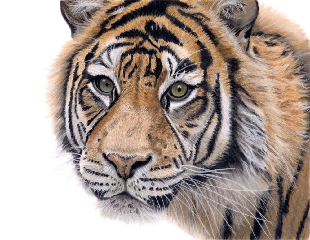 "Fierce Focus"