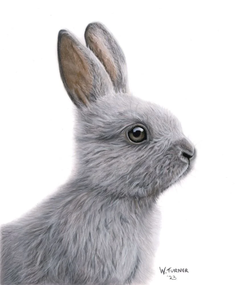 "Little Hopper"