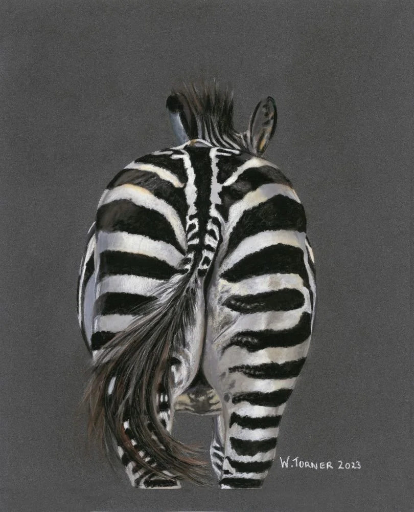 "Zebra Sass"