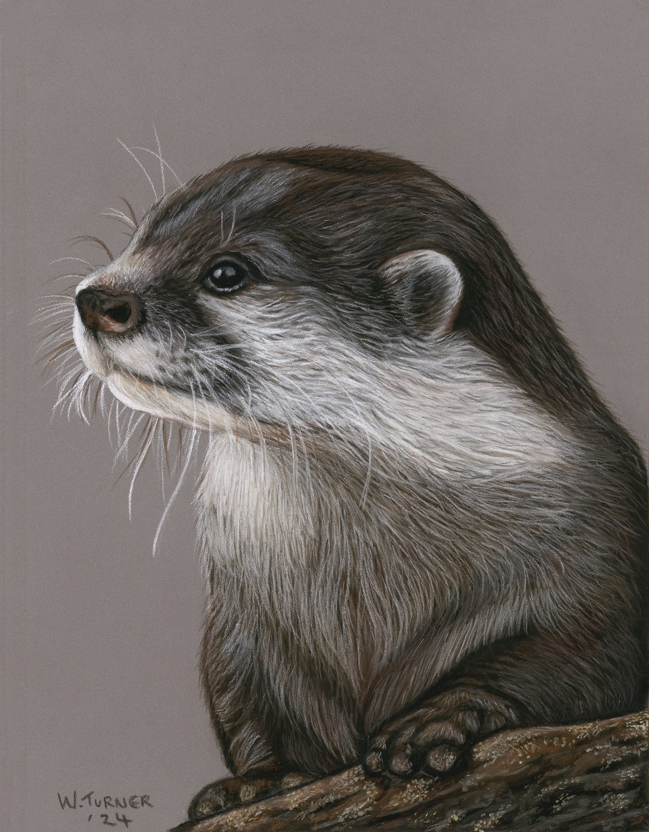 "Otter Joy"