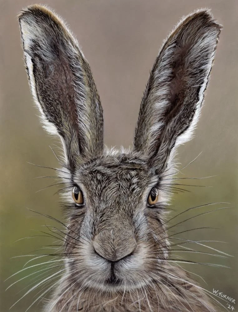"I'm All Ears"