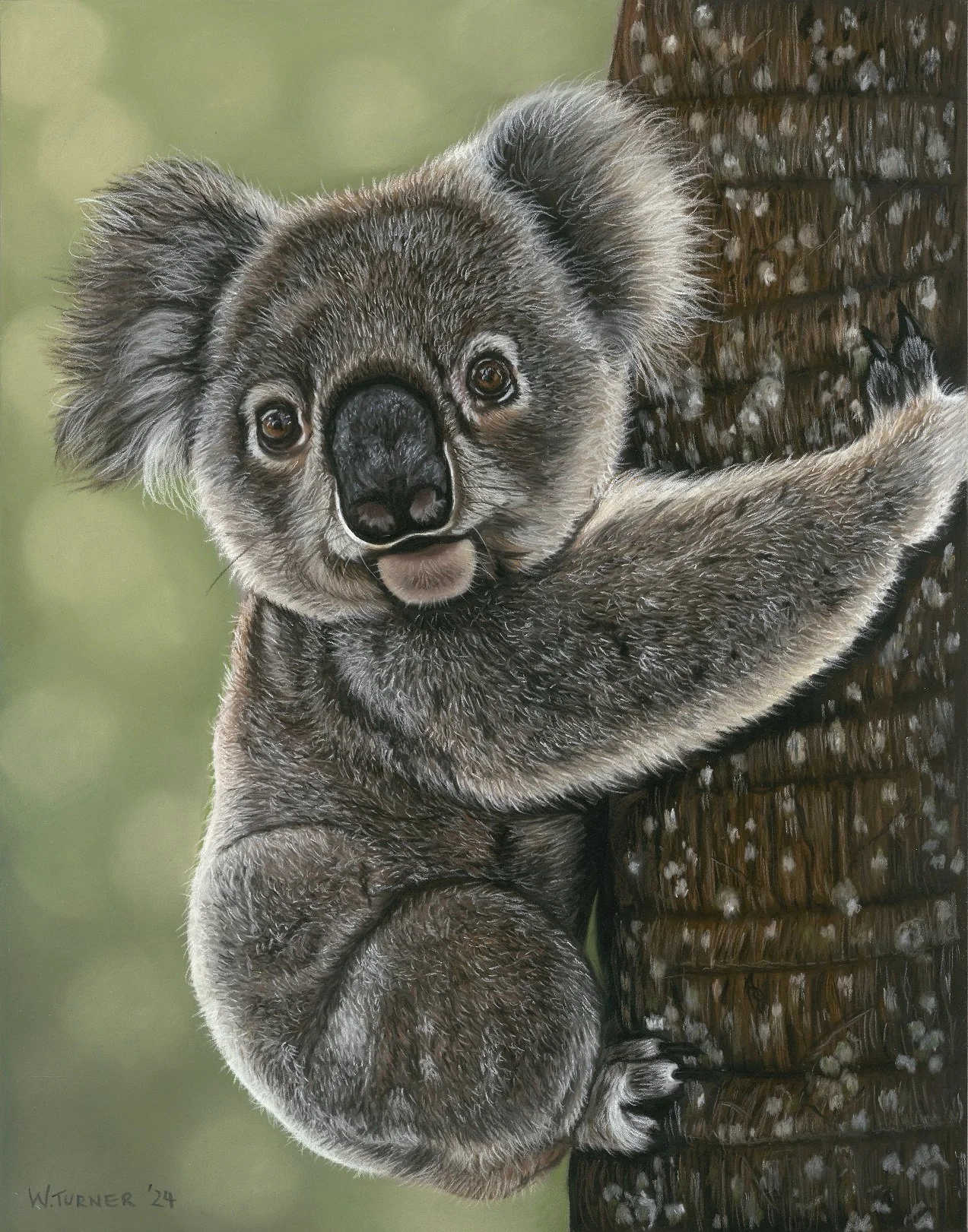 "Tree Hugger"