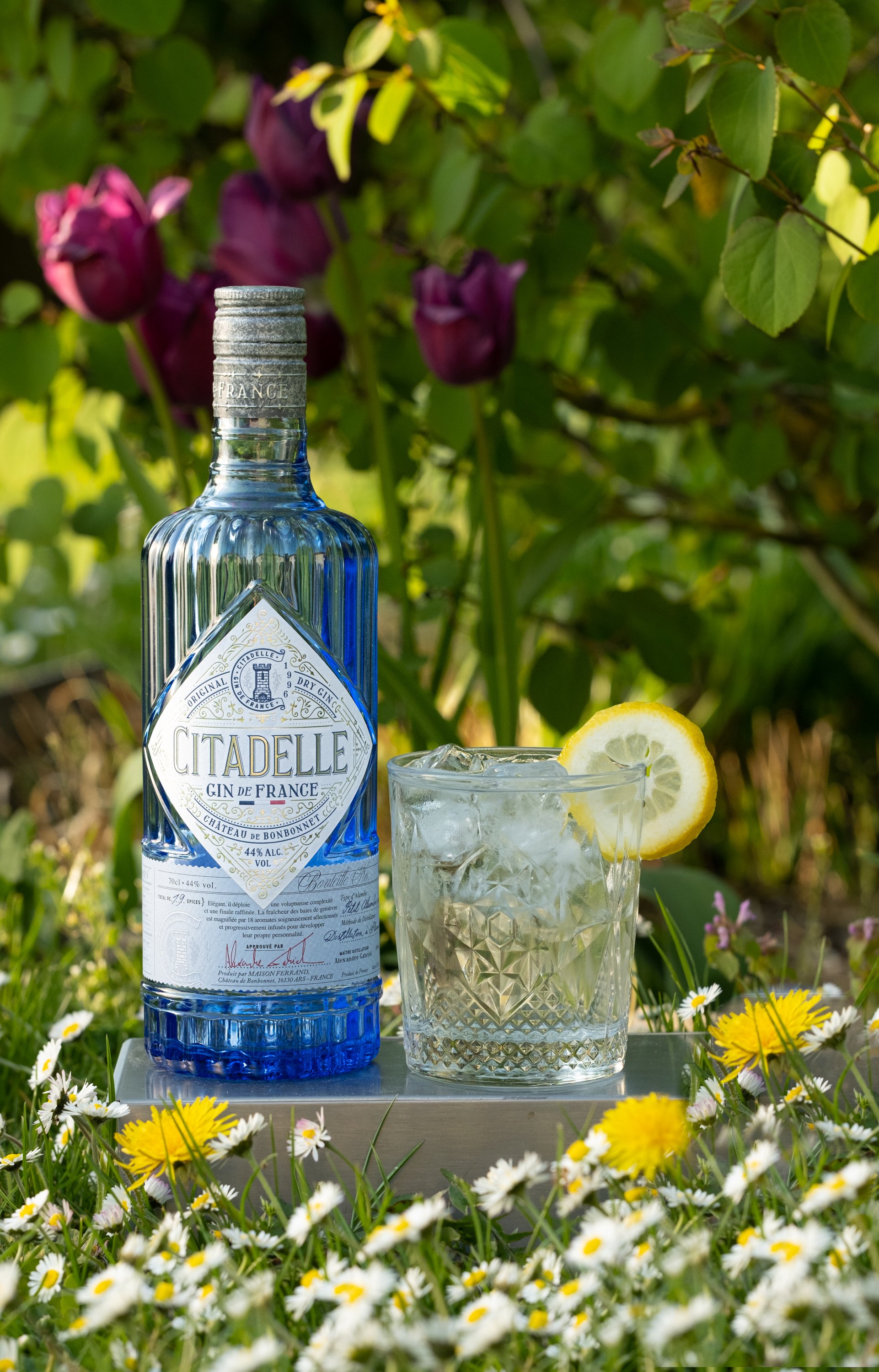 Citadelle Gin copy.jpg