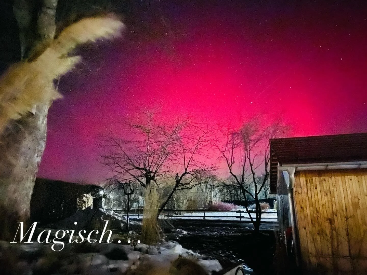 Absolut magische Momente! Aurora borealis&hellip;&uuml;ber dem Haus bei den Hirschen! Atemberaubend sch&ouml;n!sehr dankbar, dieses wundersch&ouml;ne Naturschauspiel der Nordlichter erleben zu d&uuml;rfen! #nordlichter&uuml;berdeutschland #aurora #ma