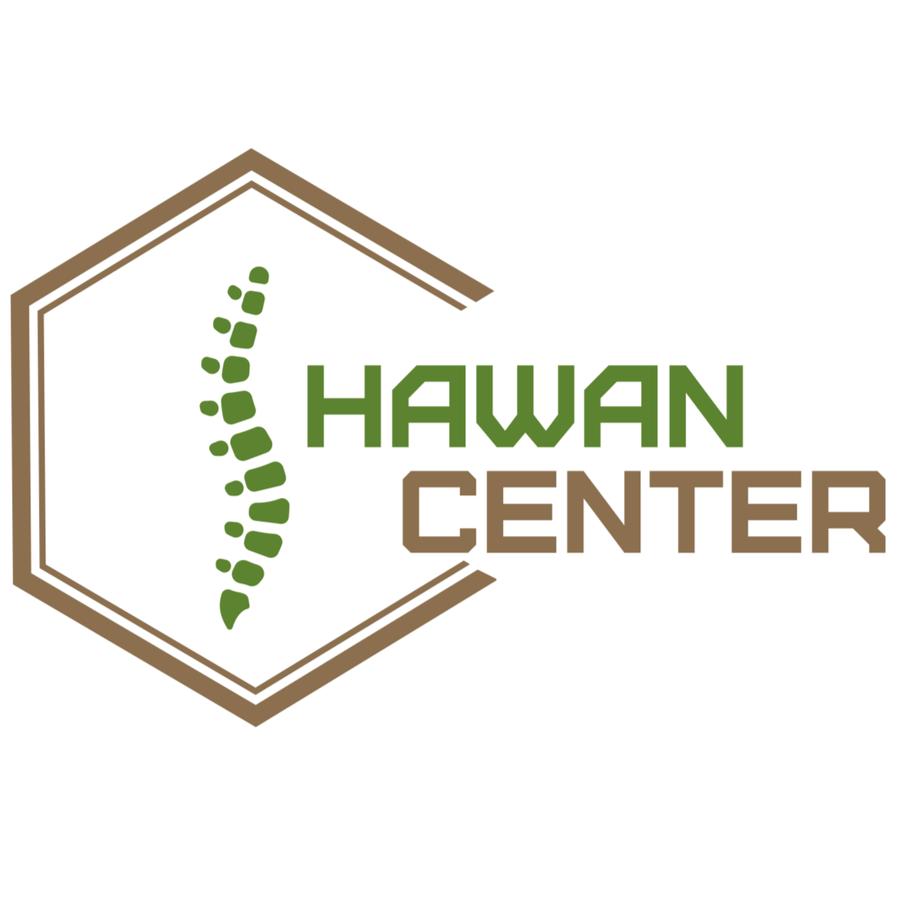 Logo for Hawan Center featuring a green and brown color scheme, with a stylized spine or leaf within a hexagon outline.