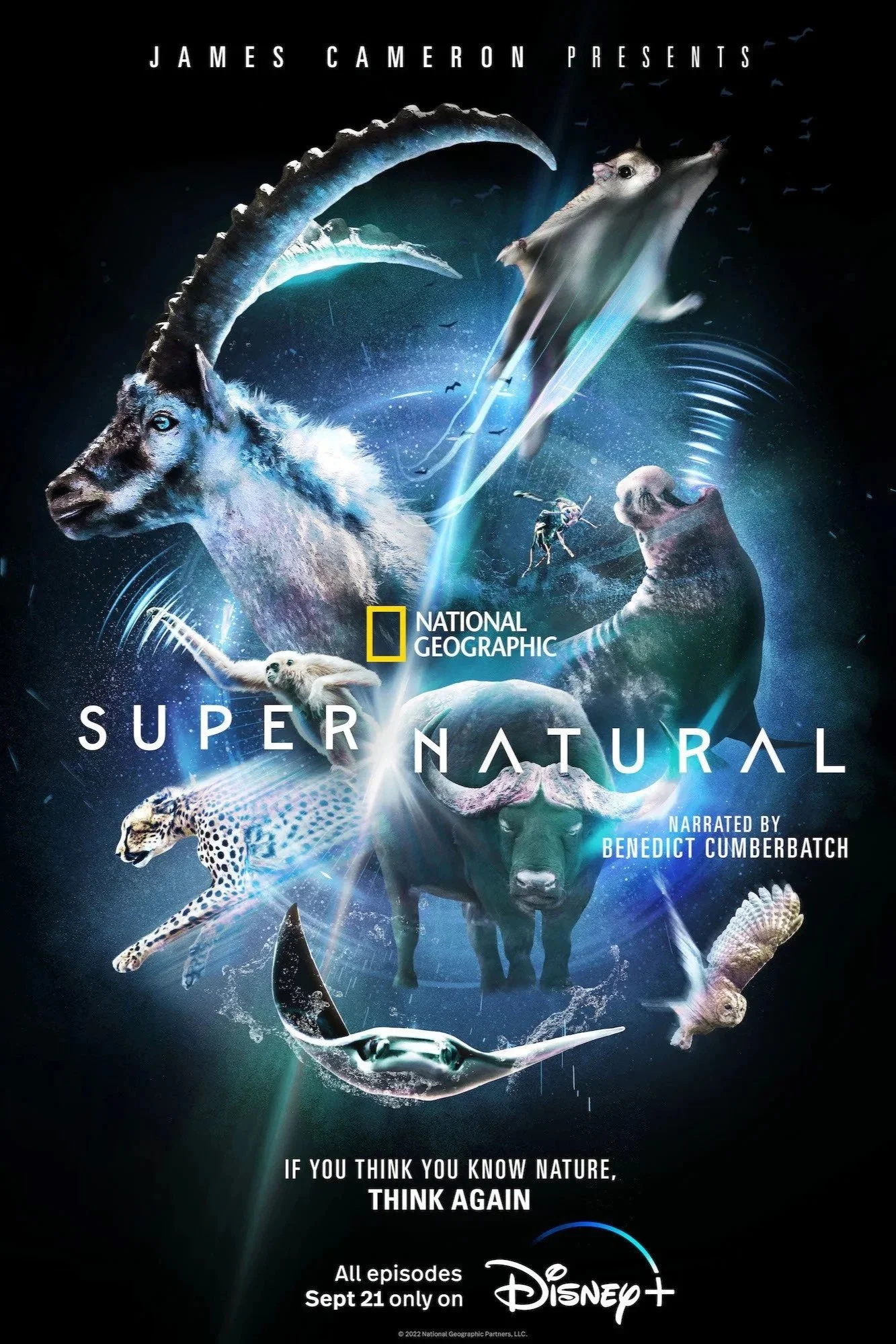 Promotional poster for a National Geographic nature documentary titled 'Supernatural' narrated by Benedict Cumberbatch, featuring images of a Ibex, cheetah, owl, and various other animals, with text about the release on Disney+.