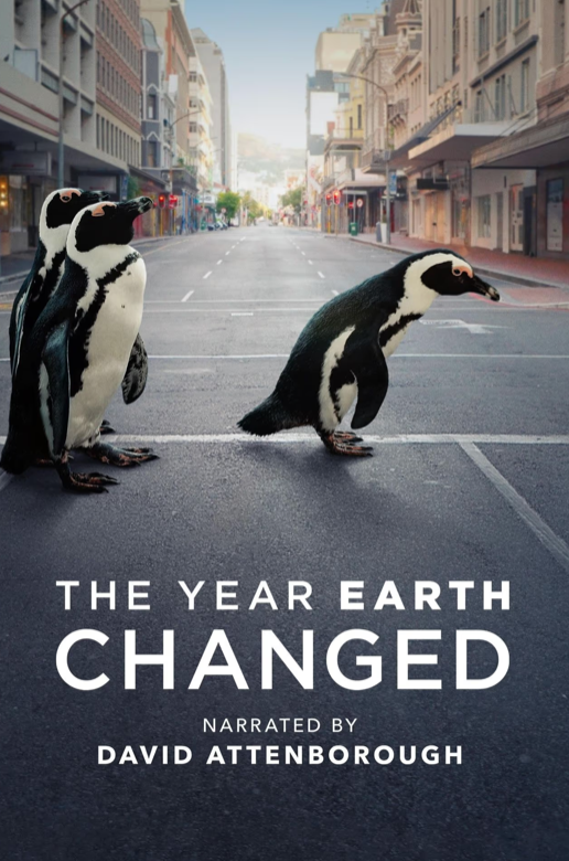 Apple TV documentary The Year Earth Changed story producer Jody Bourton
