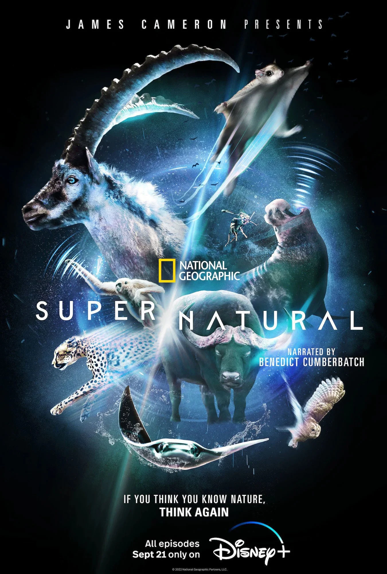 Disney+ nature documentary series Super/Natural, produced by Jody Bourton