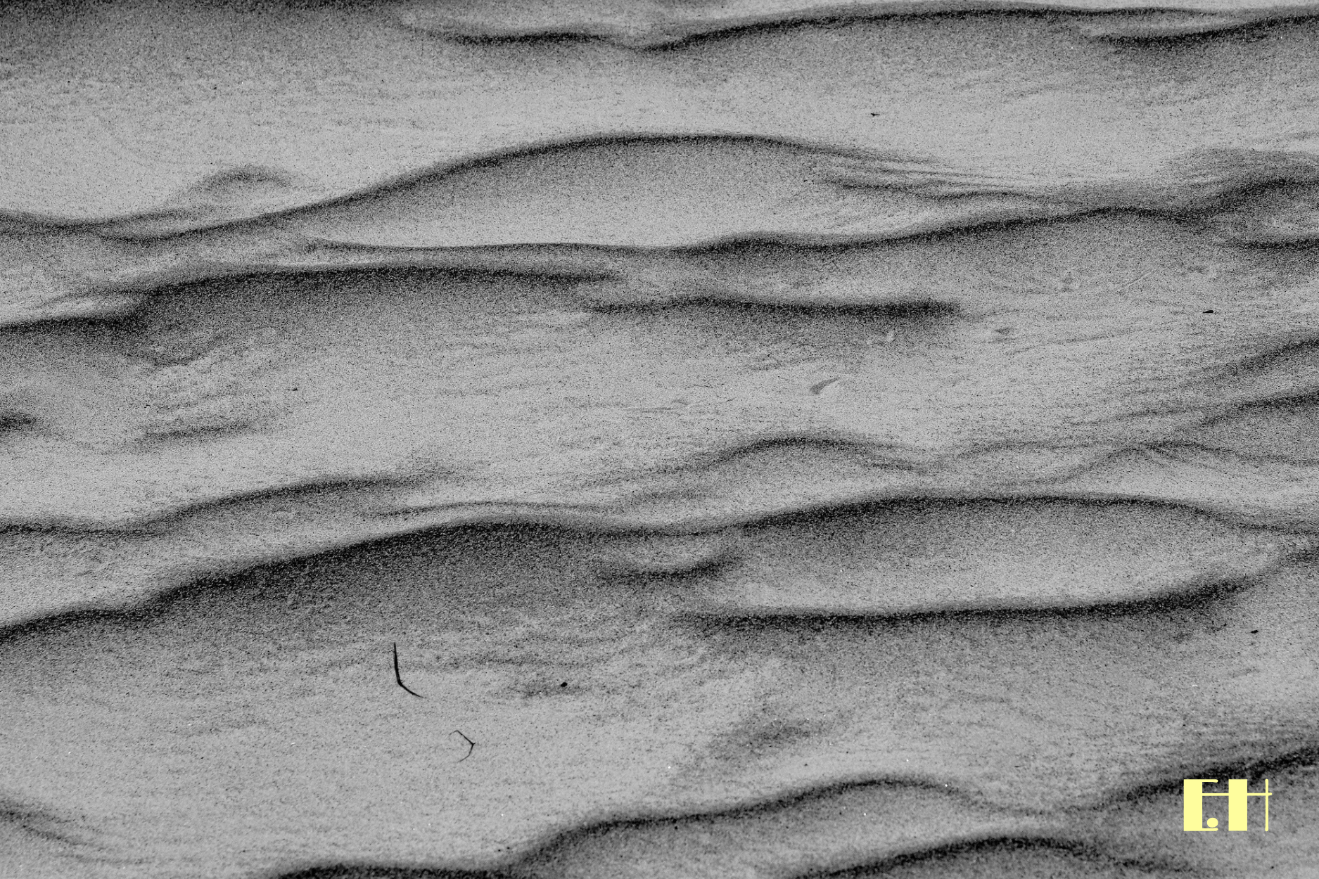 Silentium - 11