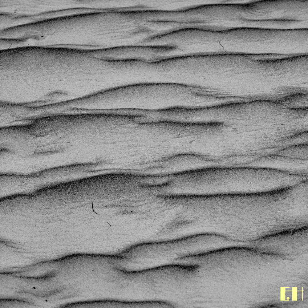 Feine Linien und natürliche Muster einer Nahaufnahme im Sand aus der fotografischen Serie Silentium.
