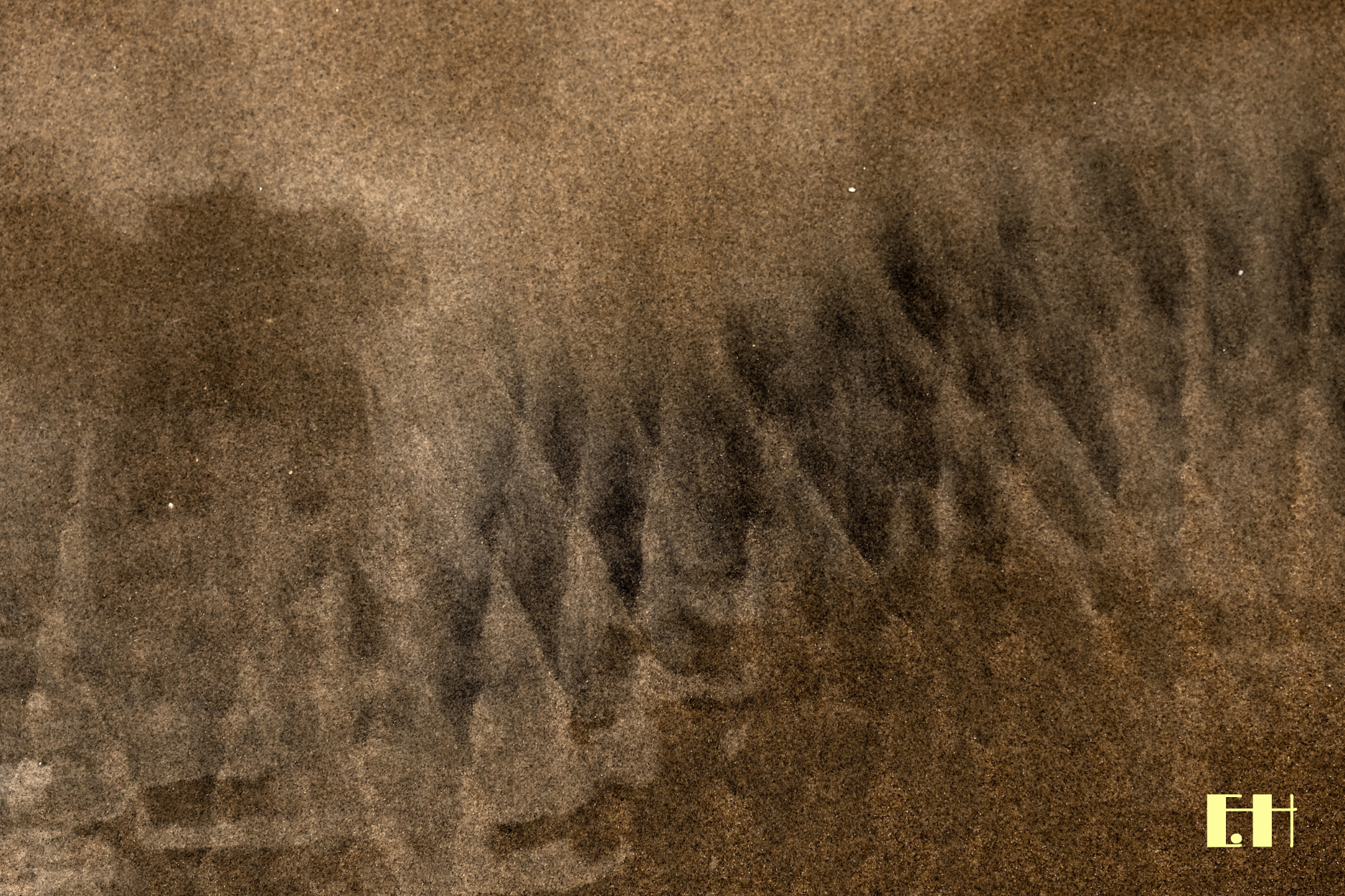 Silentium - 14
