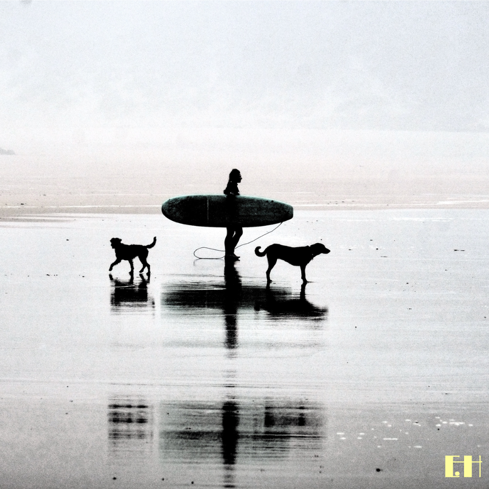 Silhouette einer Person mit Surfbrett und zwei Hunden am Strand aus der fotografischen Serie Silentium.